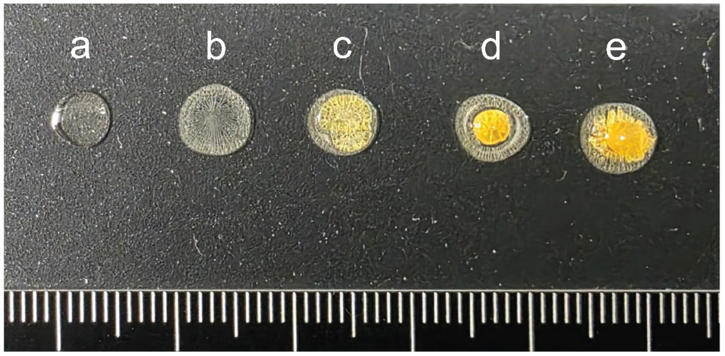 Preprints 193600 g007