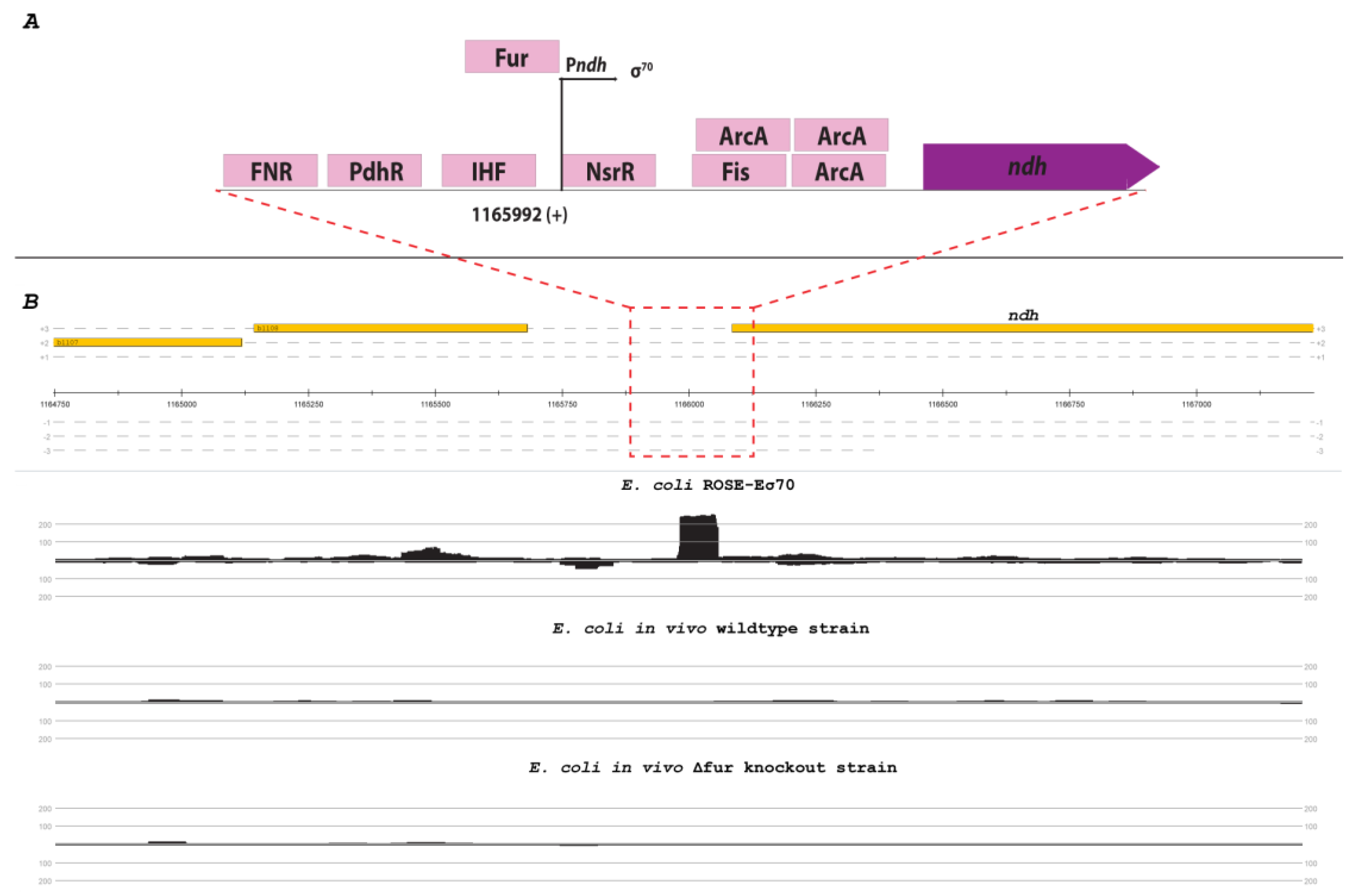Preprints 72729 g005