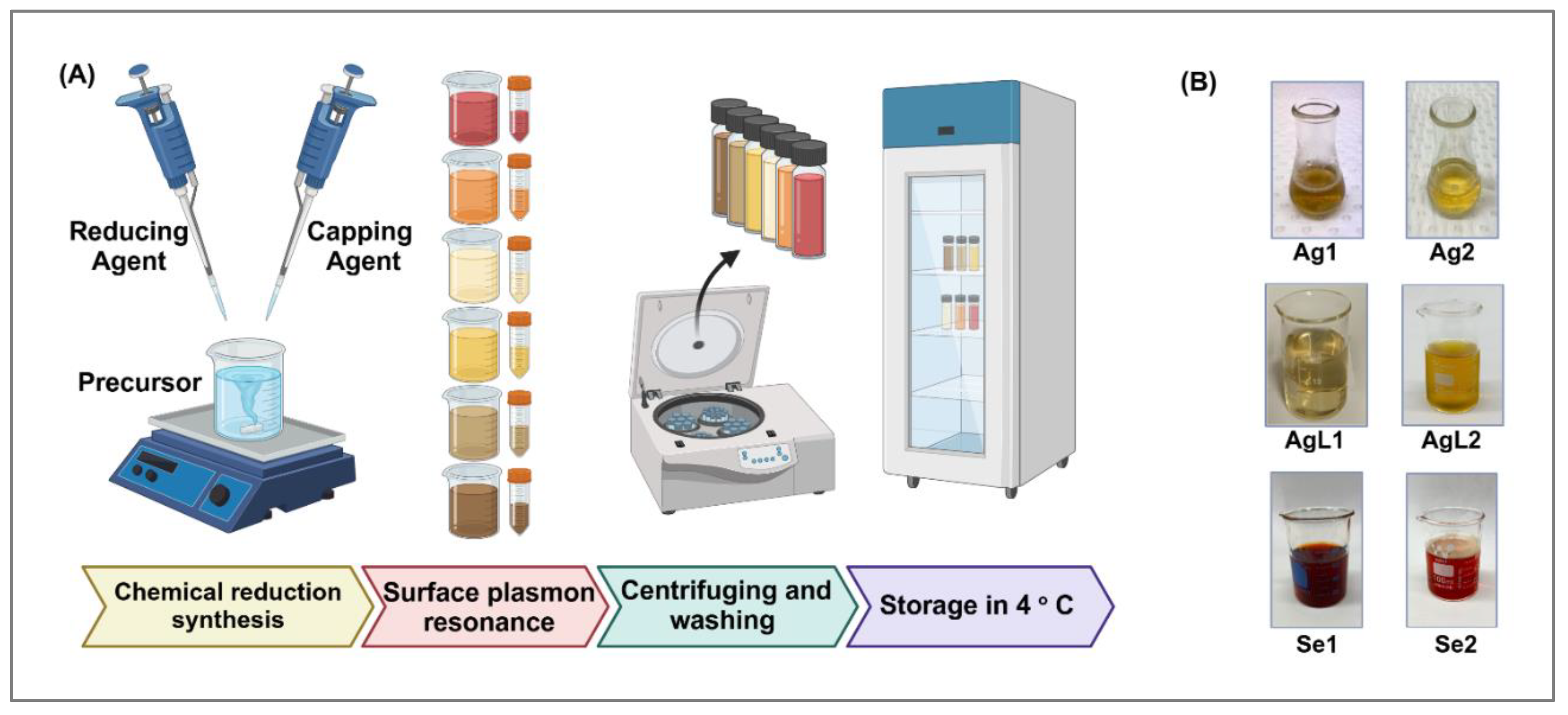 Preprints 172504 g002