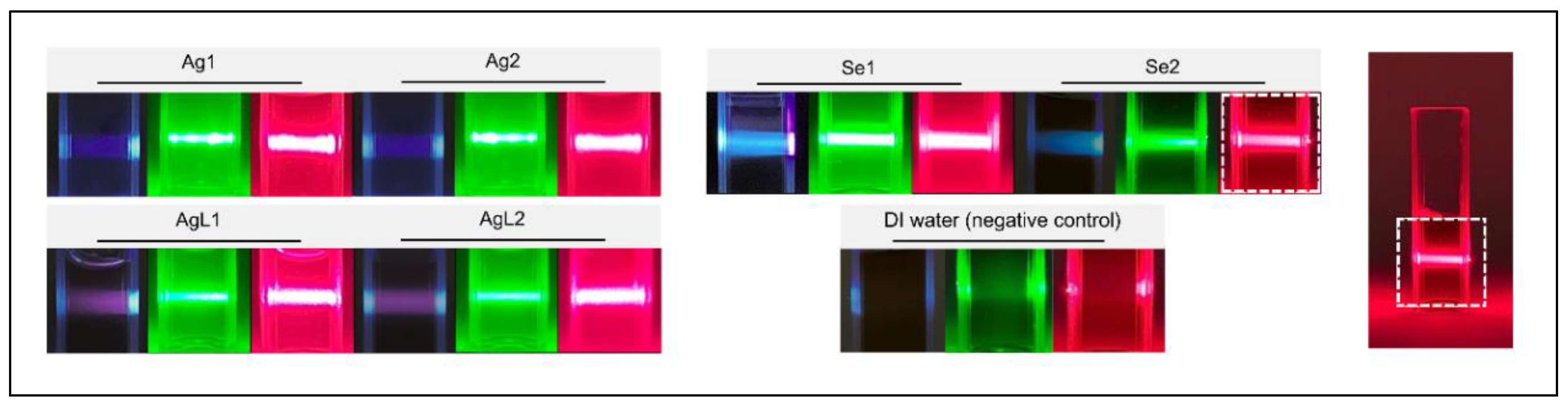 Preprints 172504 g004