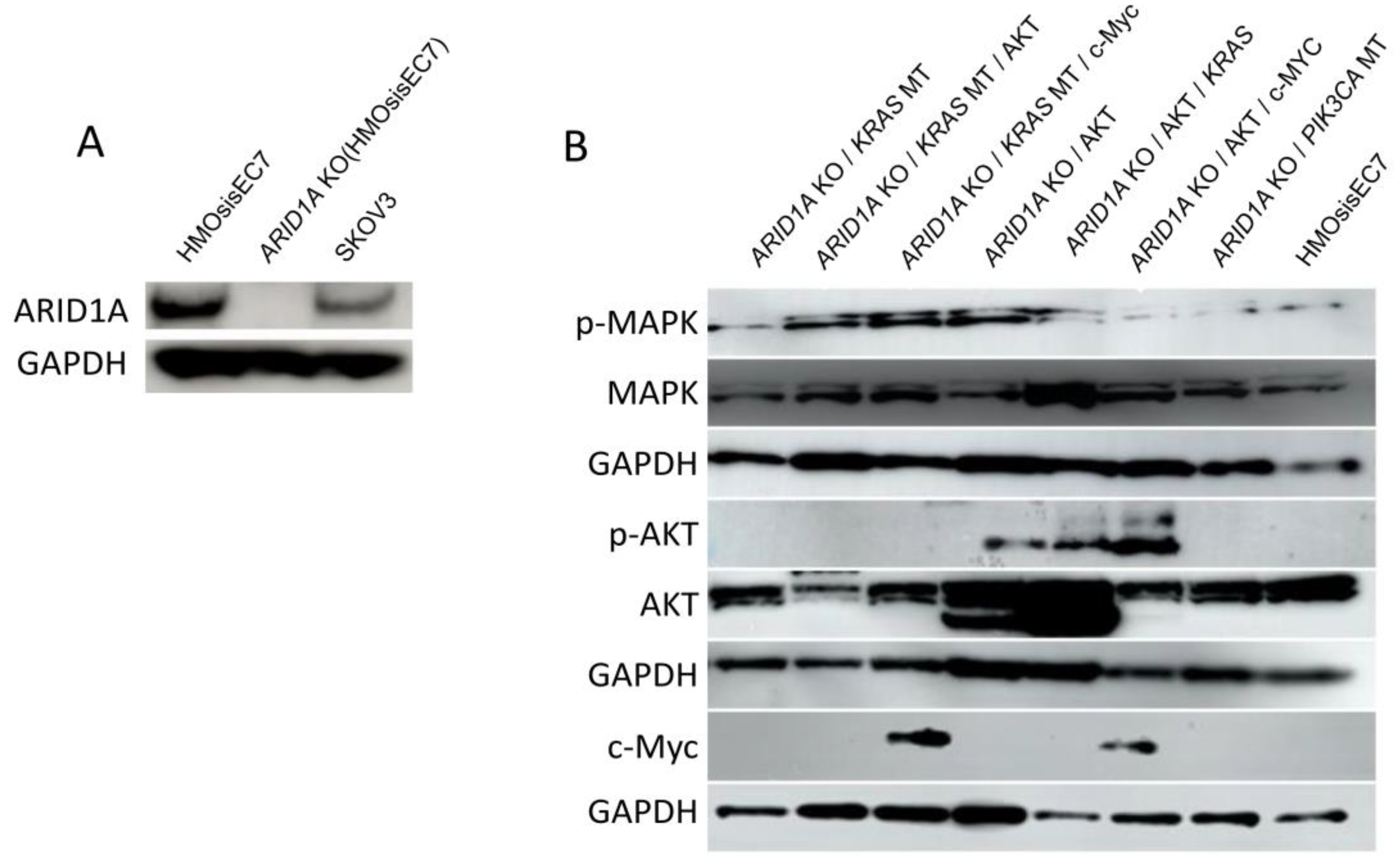 Preprints 148998 g003