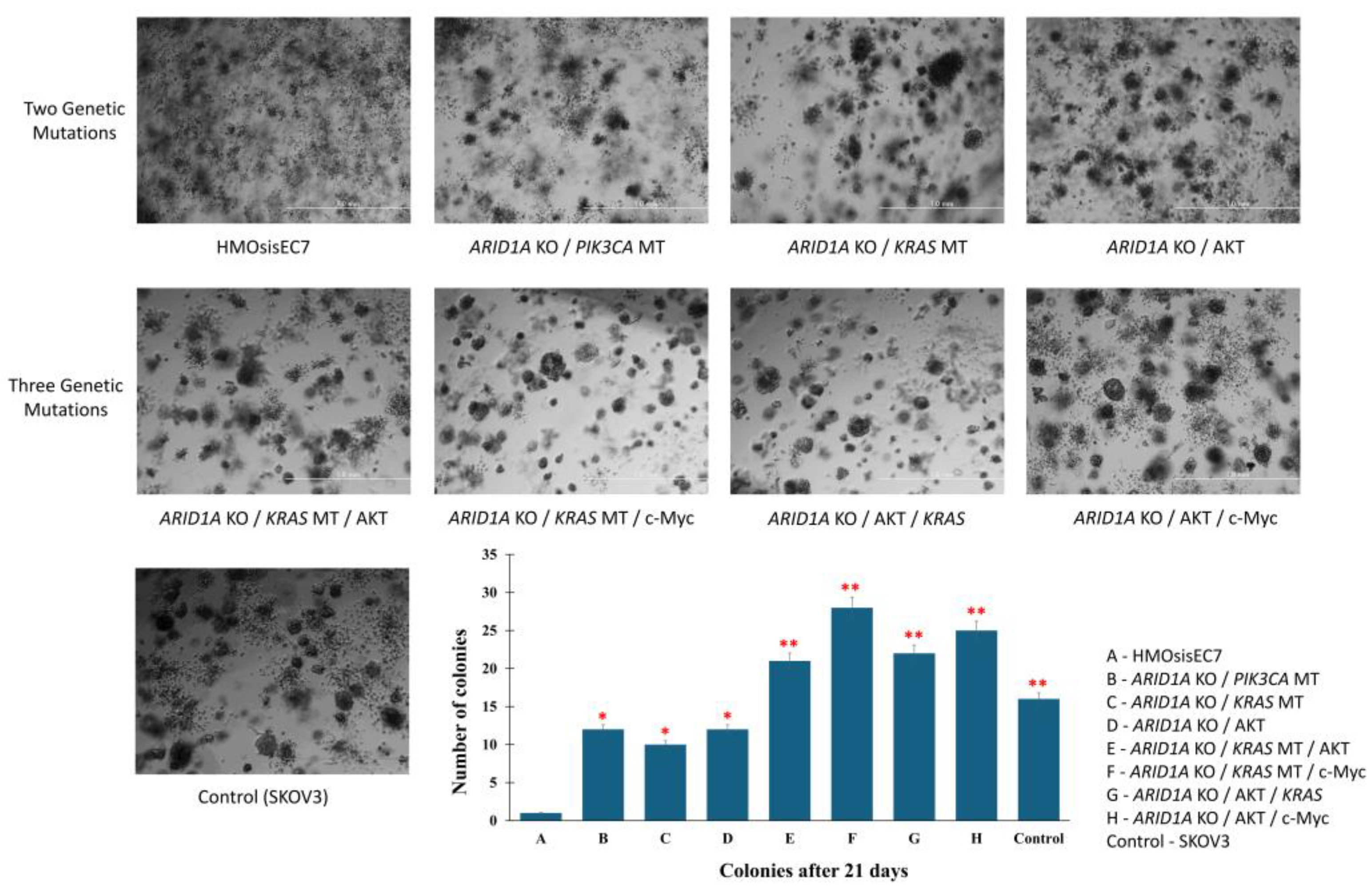 Preprints 148998 g004