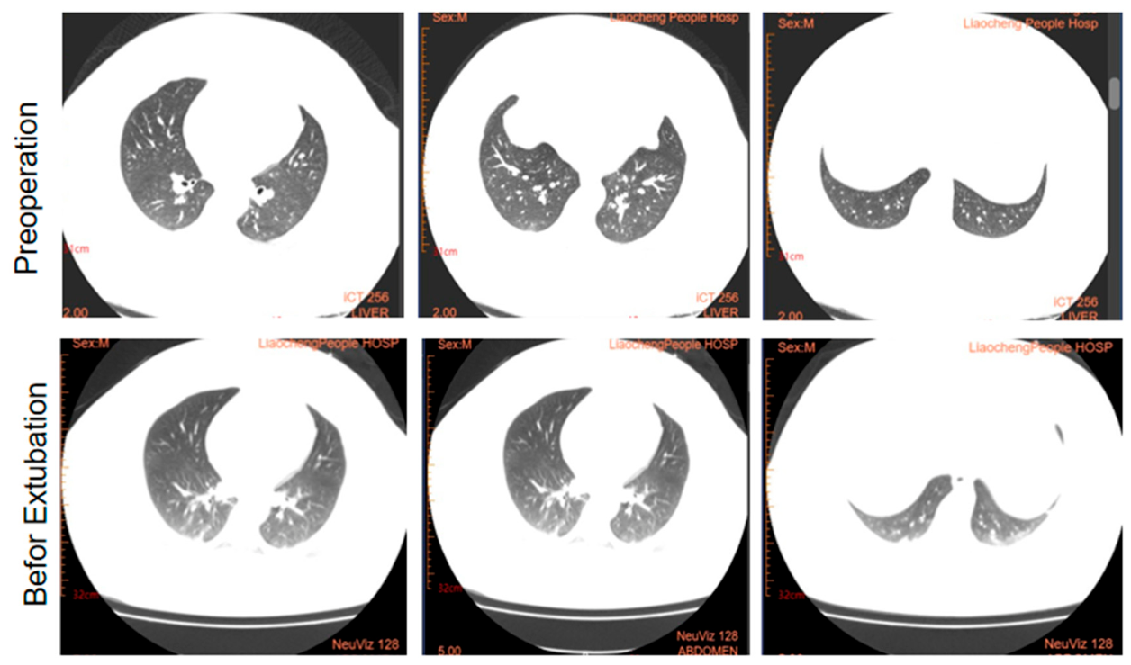 Preprints 233644 g004a