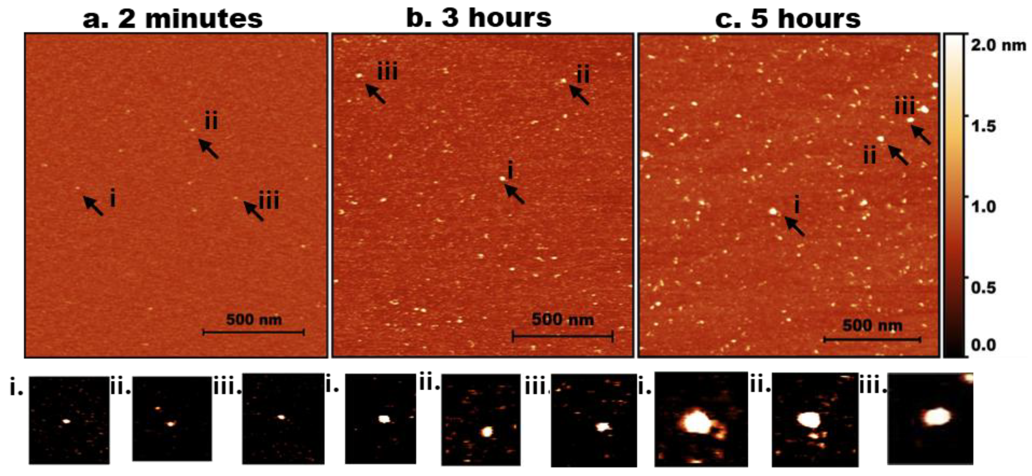 Preprints 179579 g001a
