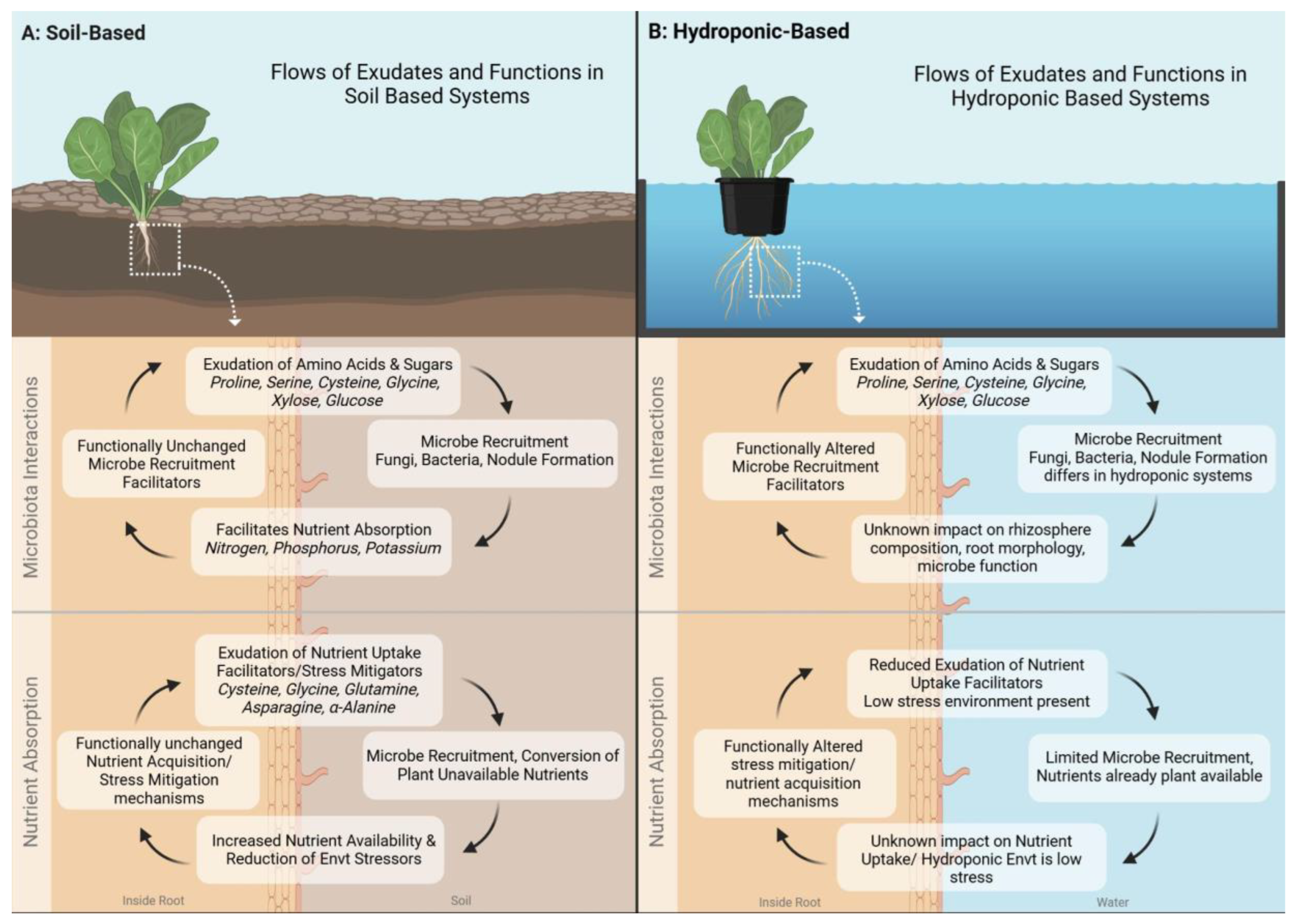 Preprints 148567 g001