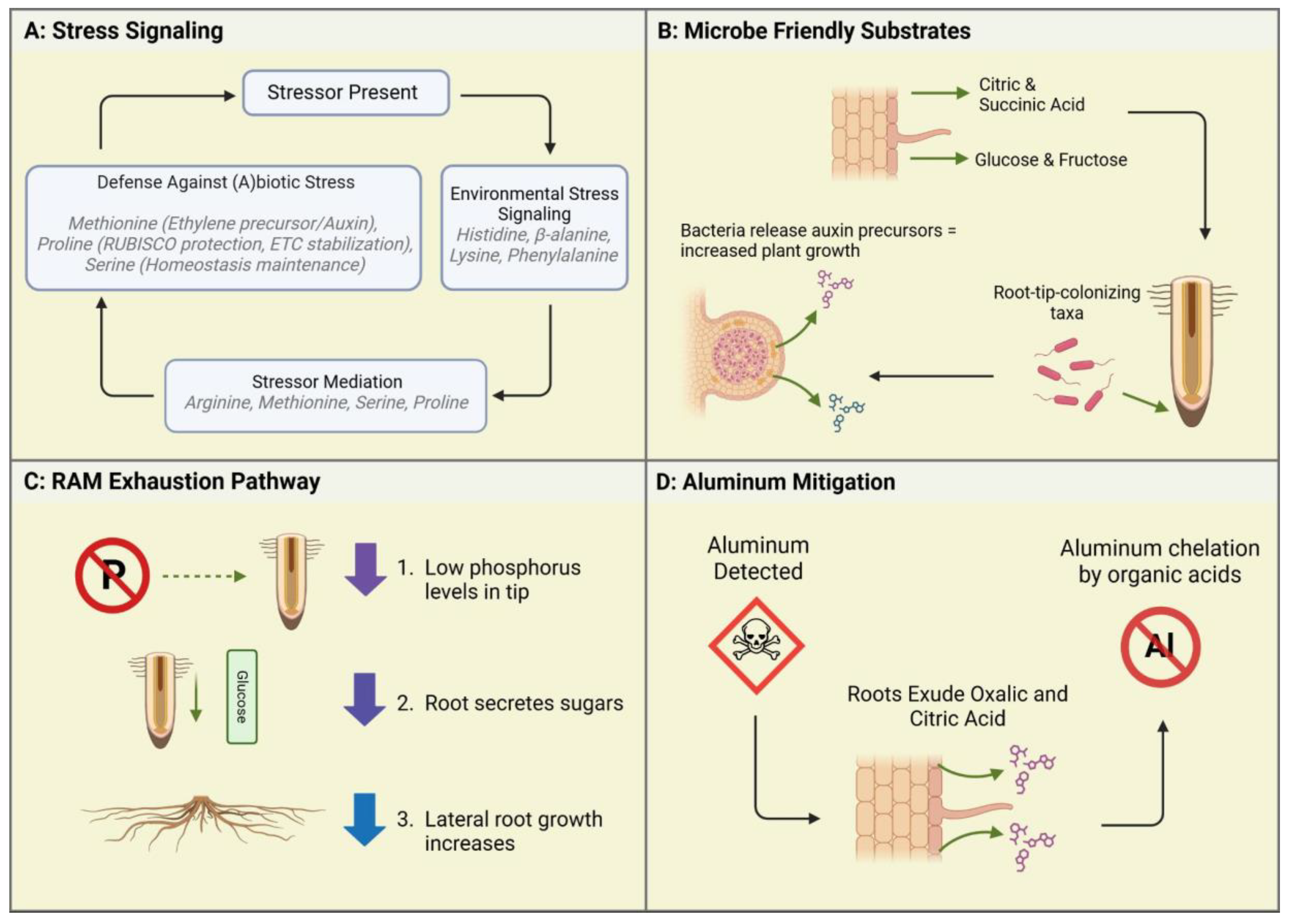 Preprints 148567 g002