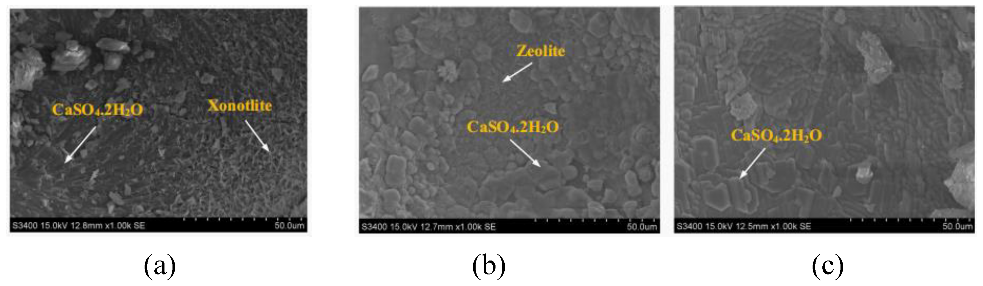 Preprints 116444 g004