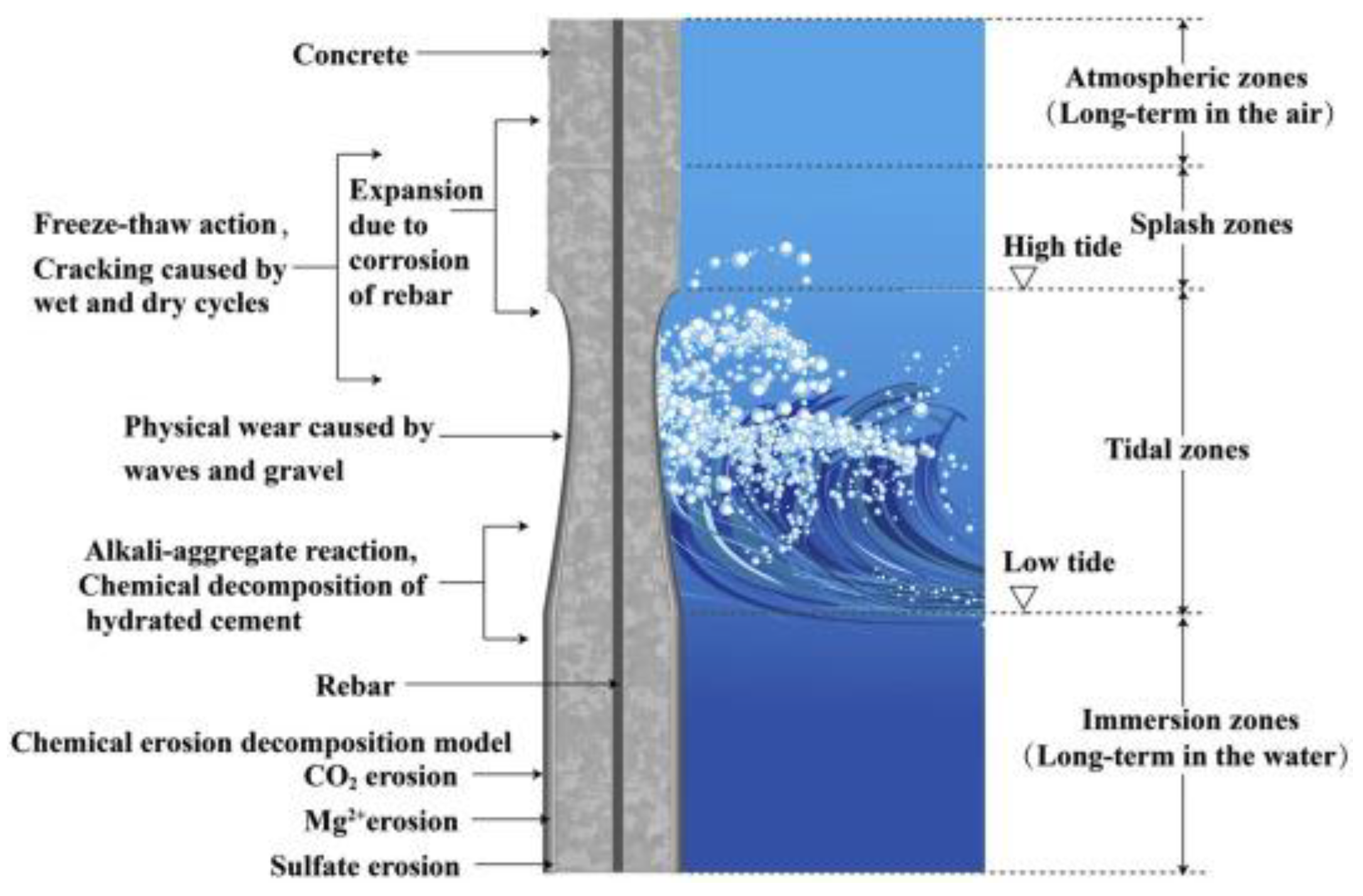 Preprints 116444 g008