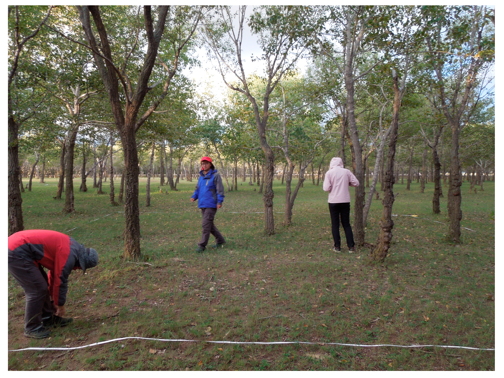 Preprints 86153 g003