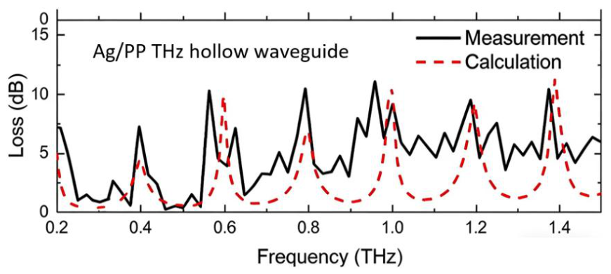 Preprints 213576 g003
