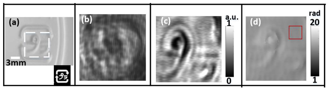 Preprints 213576 g006