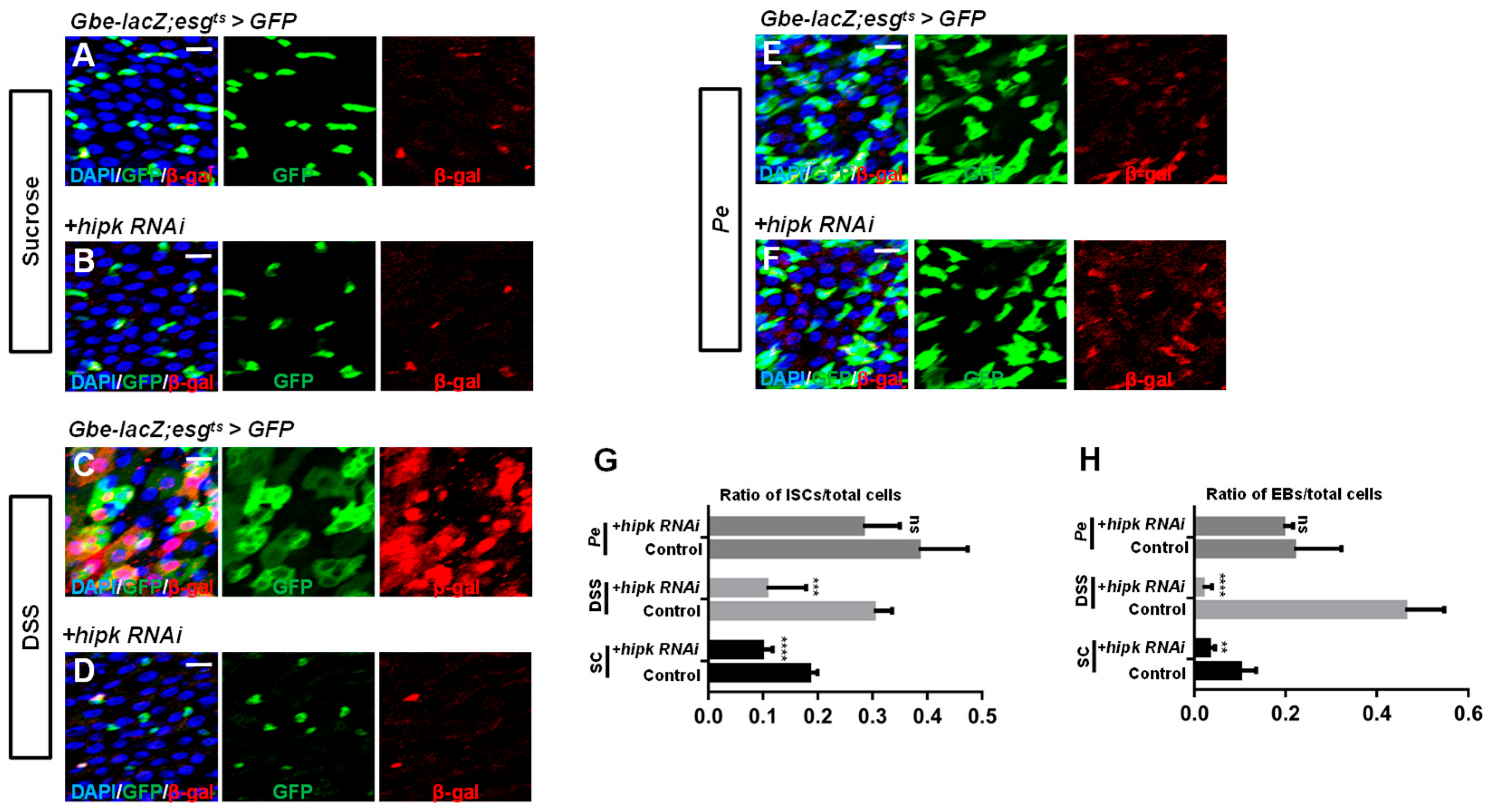 Preprints 215563 g002
