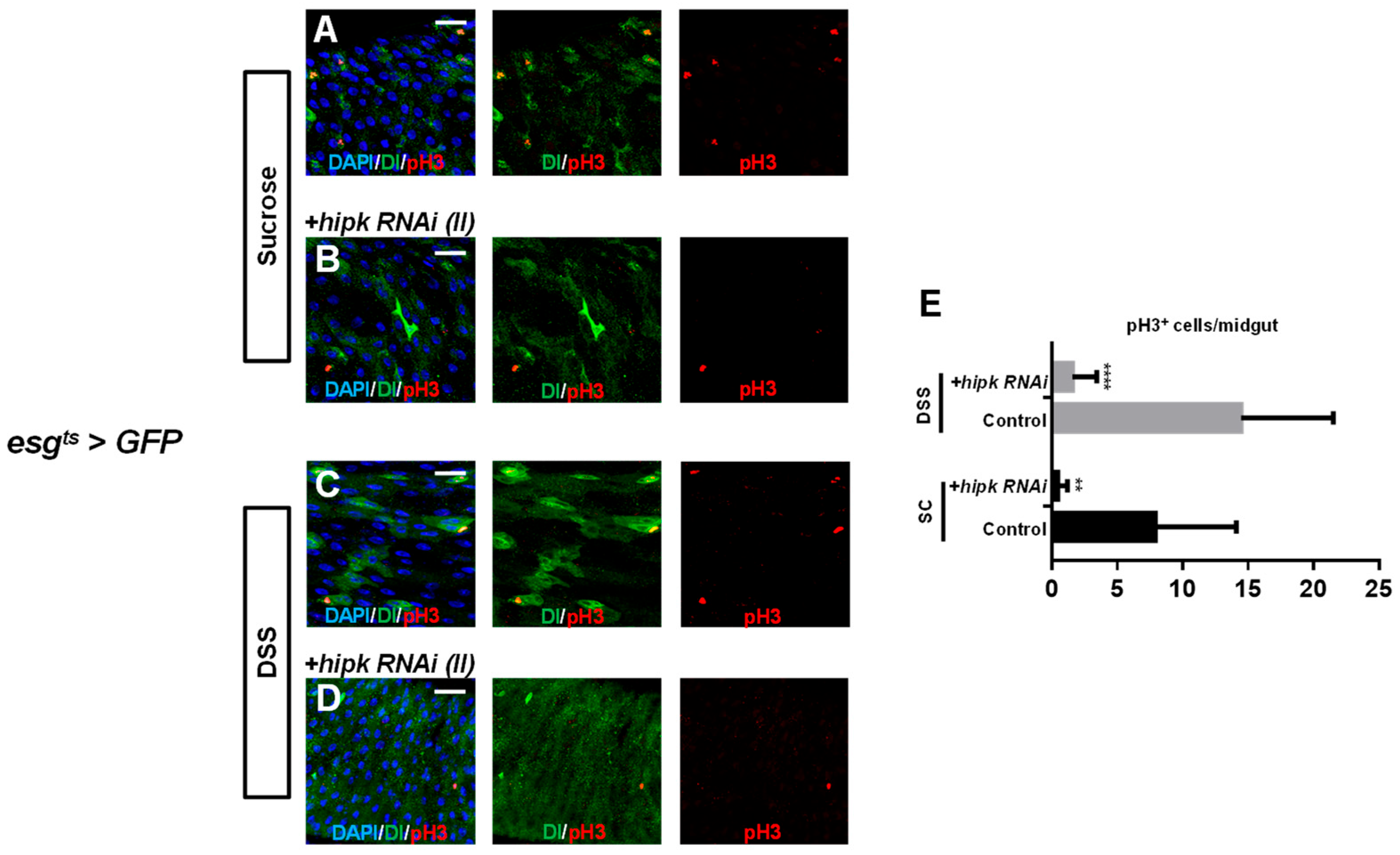 Preprints 215563 g003