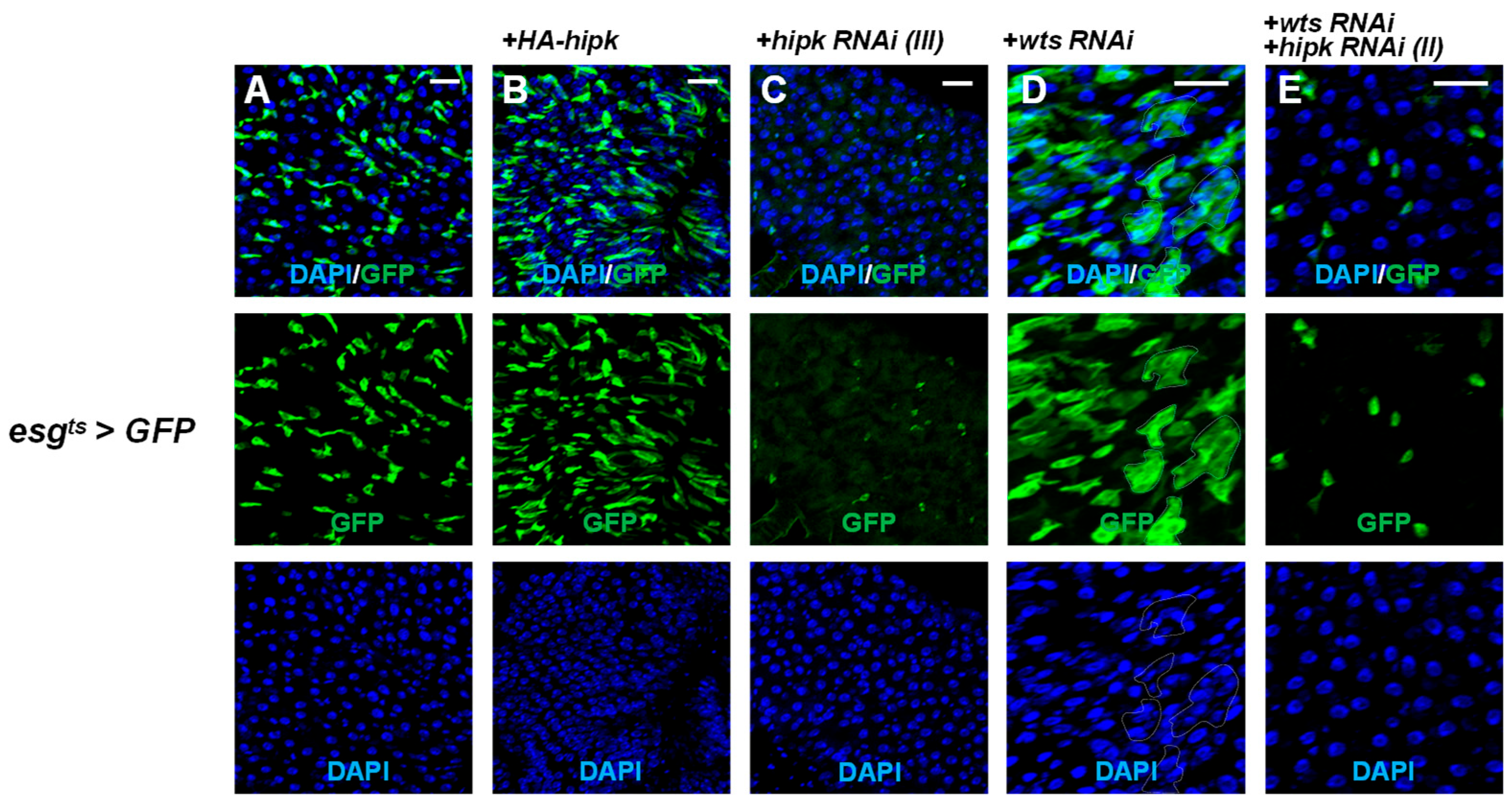 Preprints 215563 g004