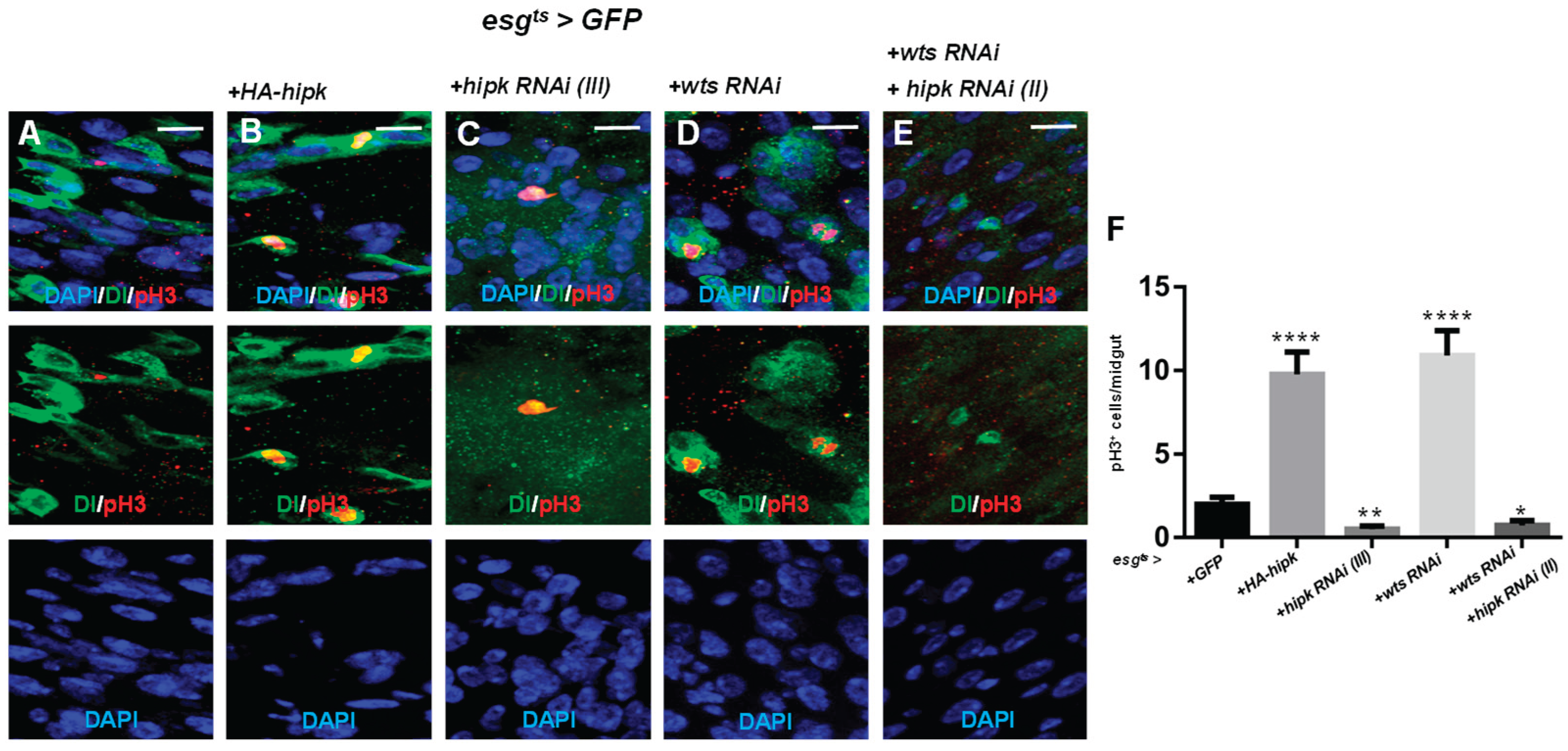 Preprints 215563 g005