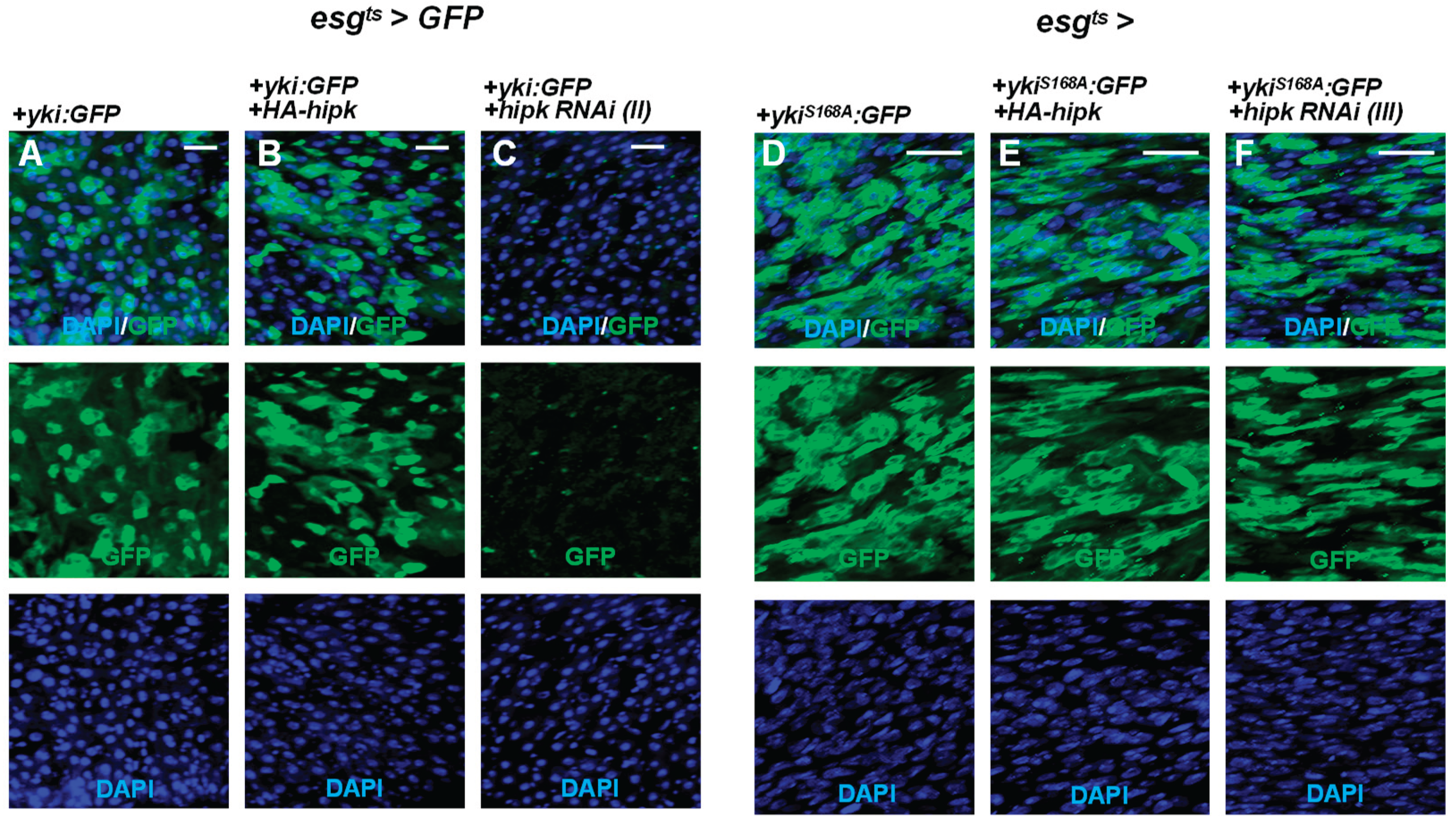 Preprints 215563 g006