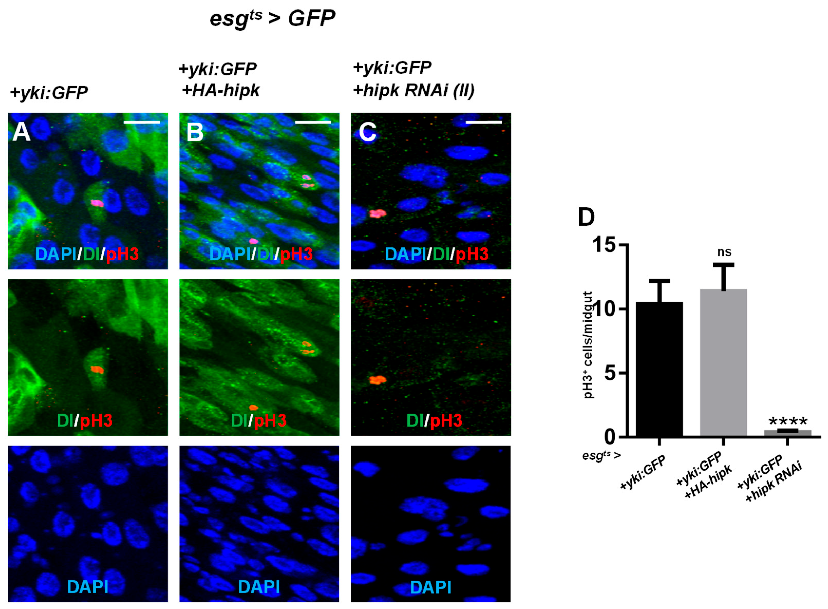 Preprints 215563 g007