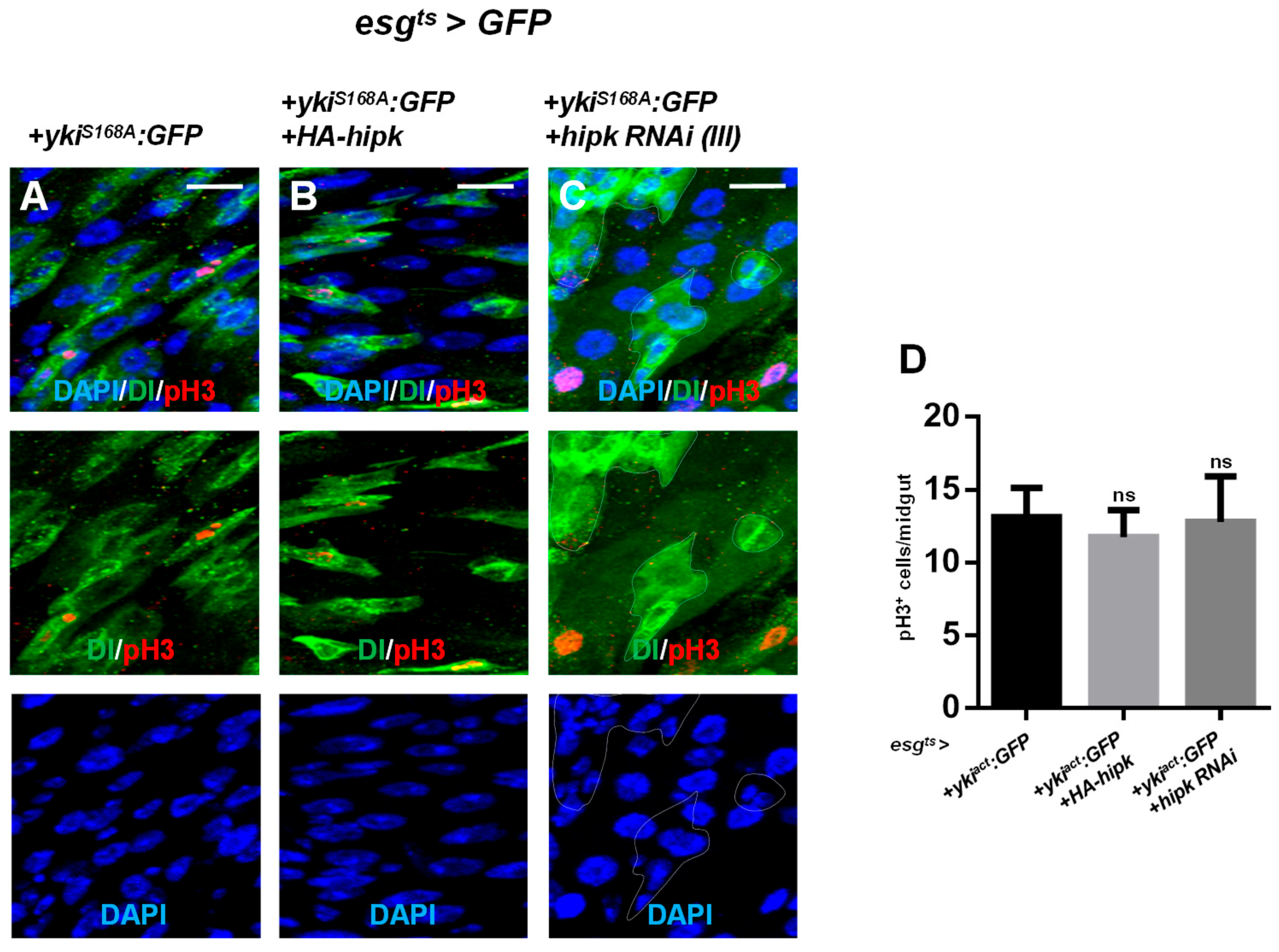 Preprints 215563 g008