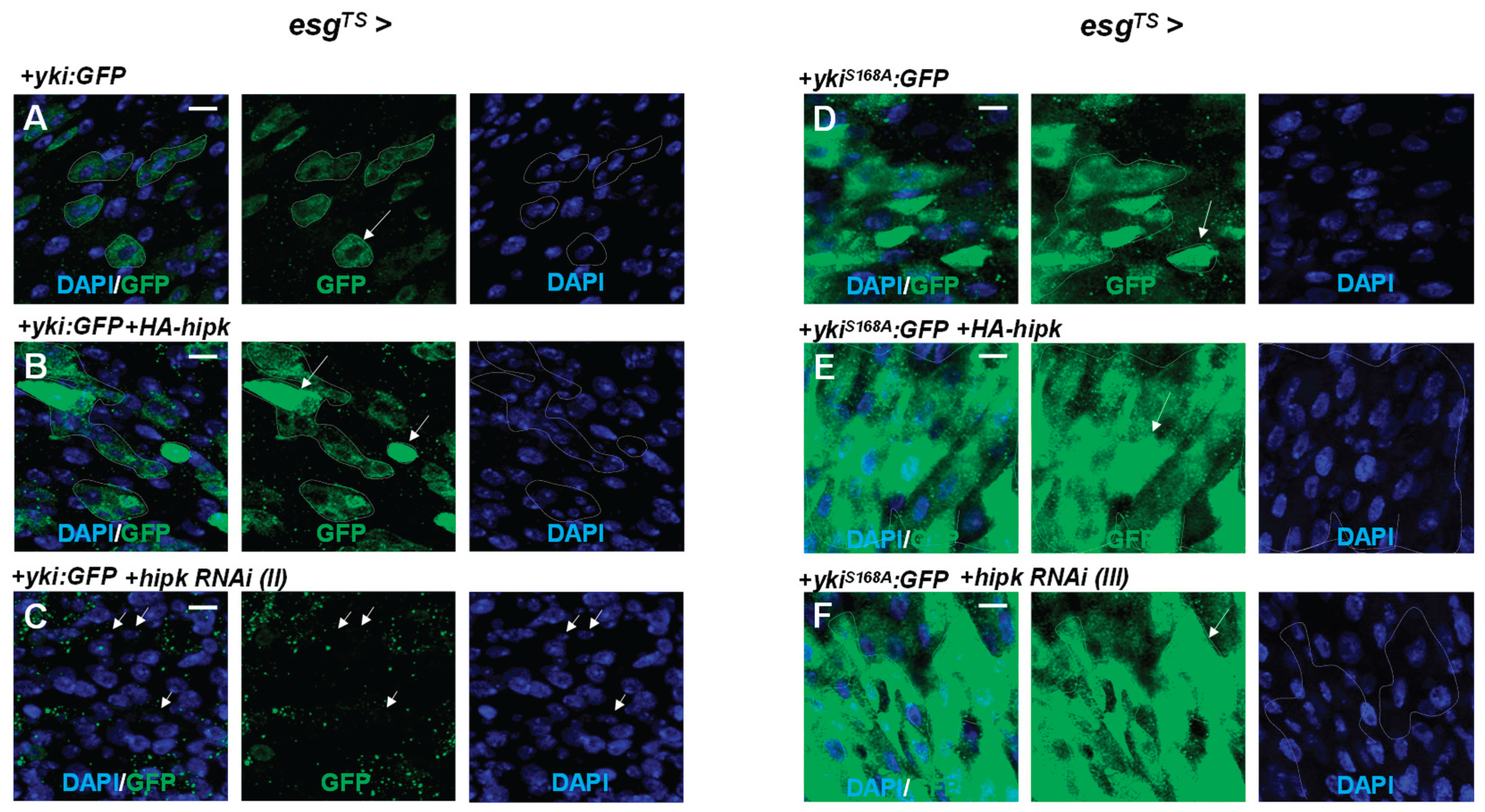 Preprints 215563 g009