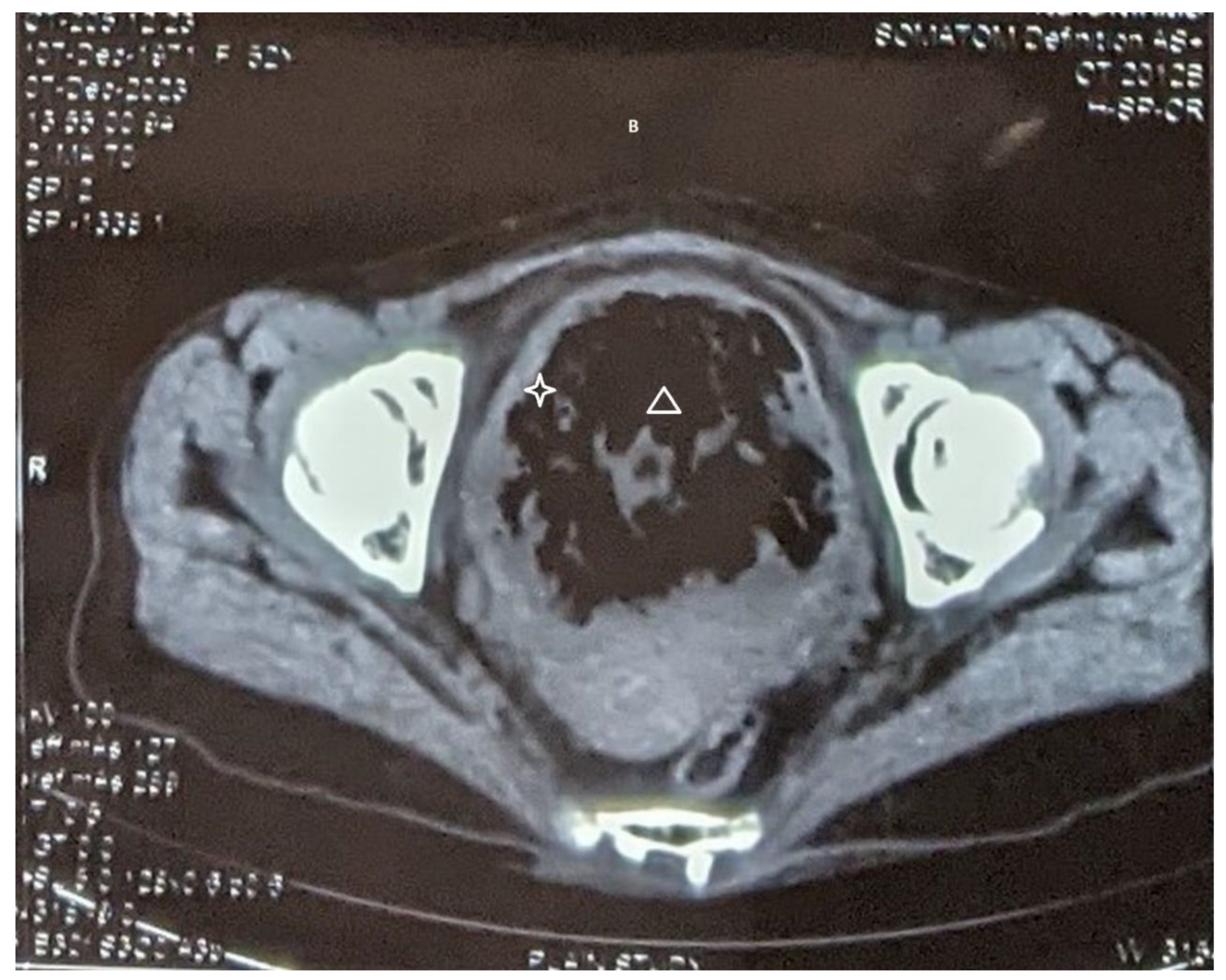 Preprints 144747 g002