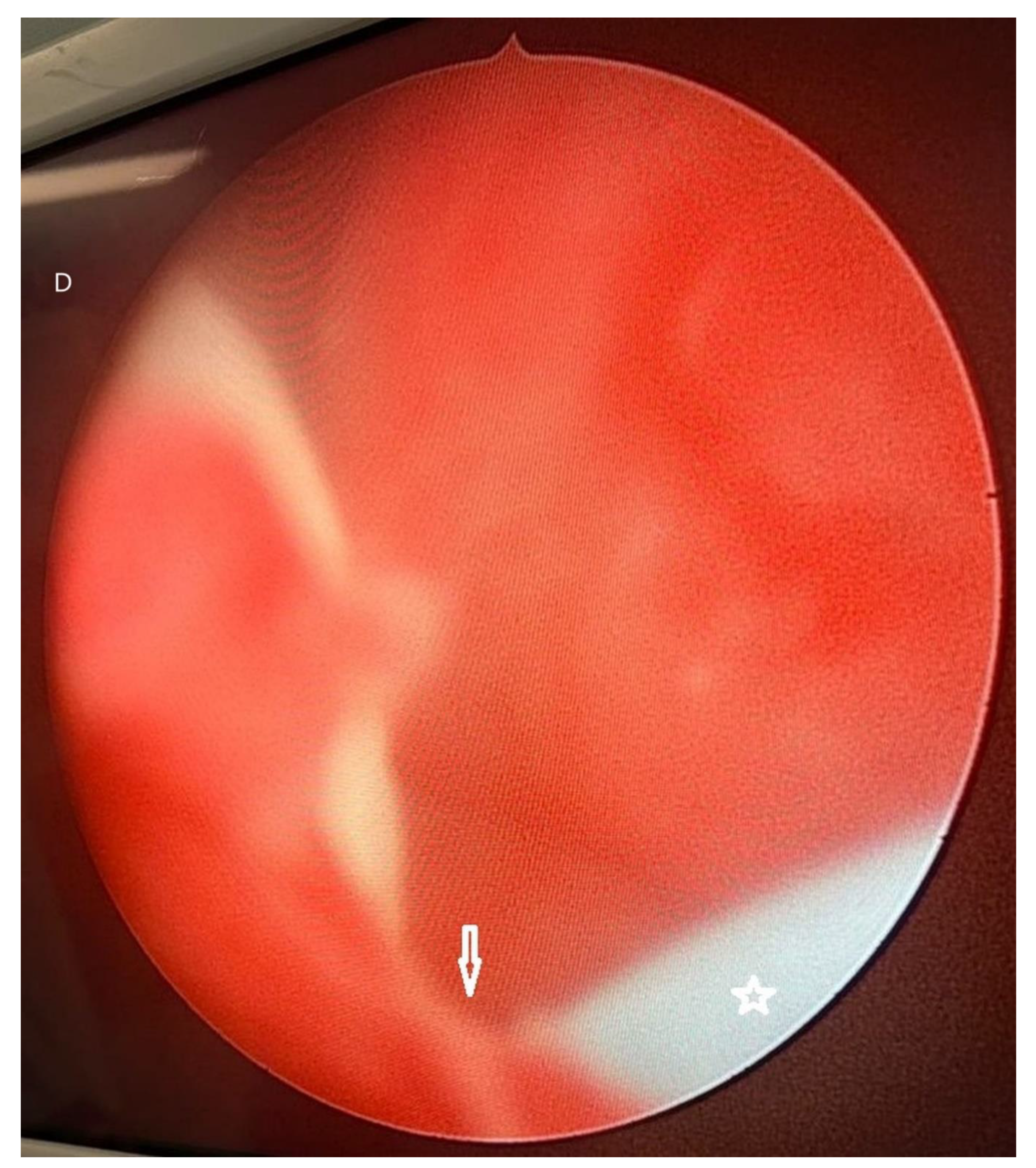 Preprints 144747 g004