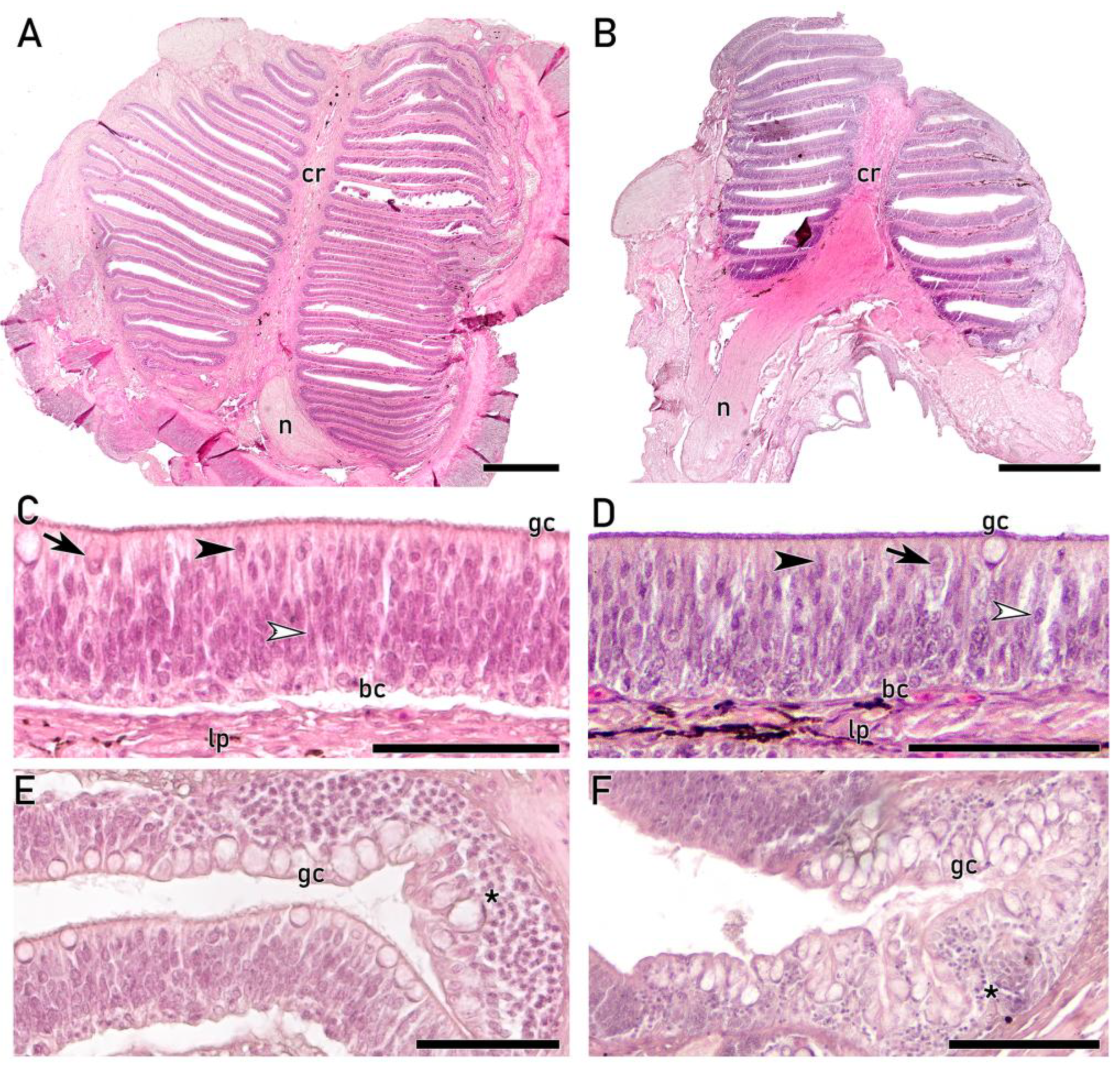 Preprints 203369 g003