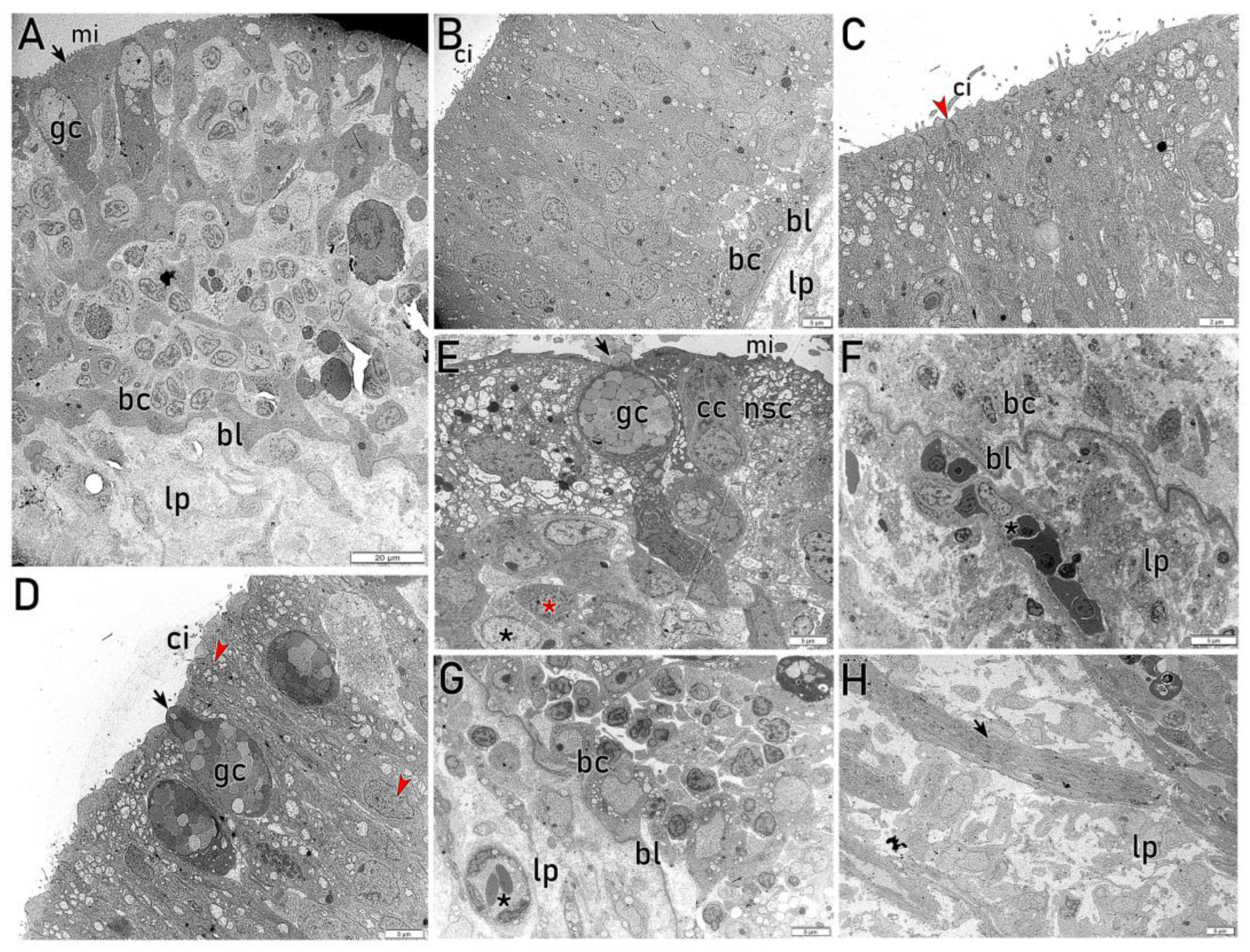 Preprints 203369 g004