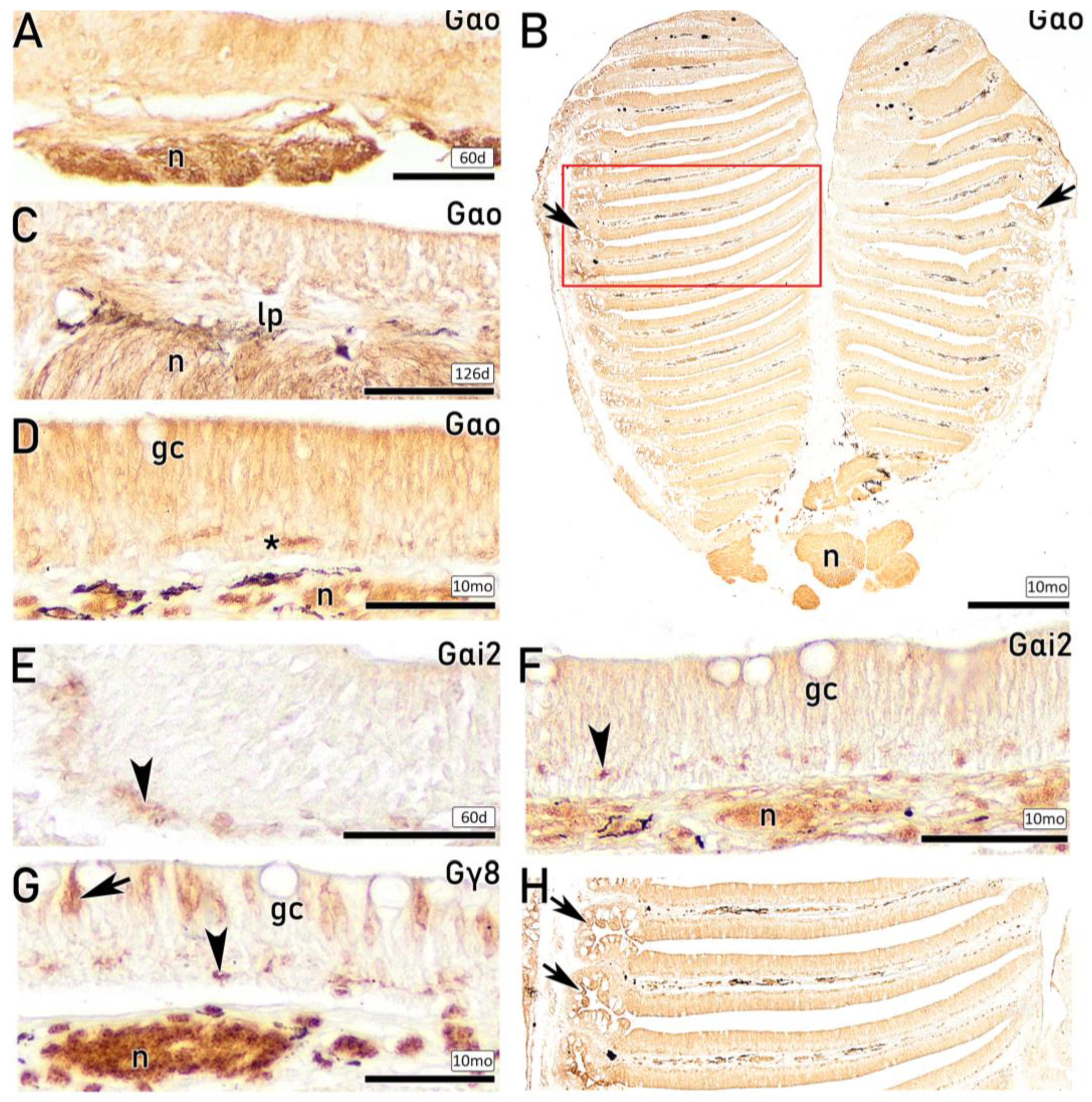 Preprints 203369 g011