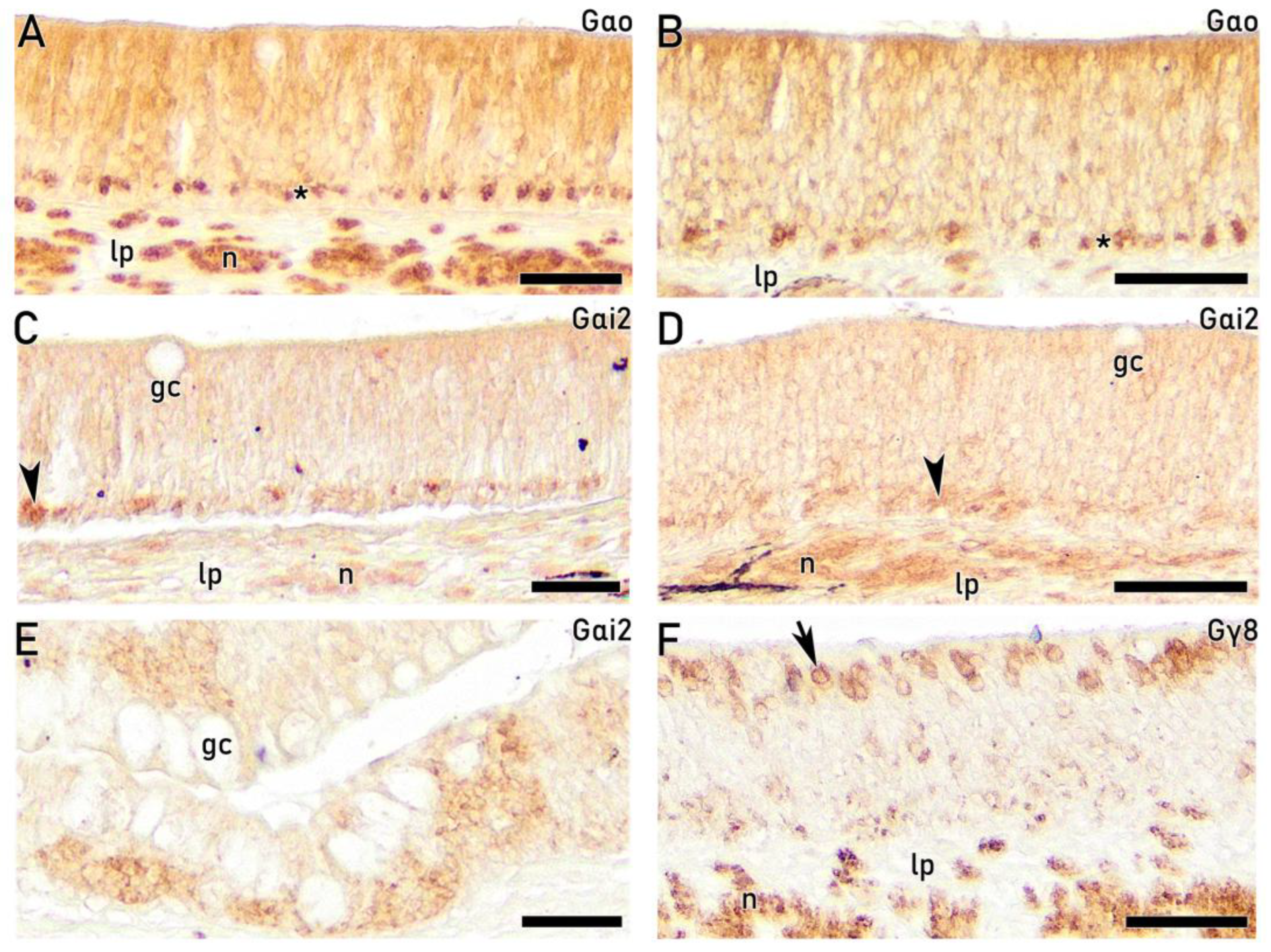Preprints 203369 g012