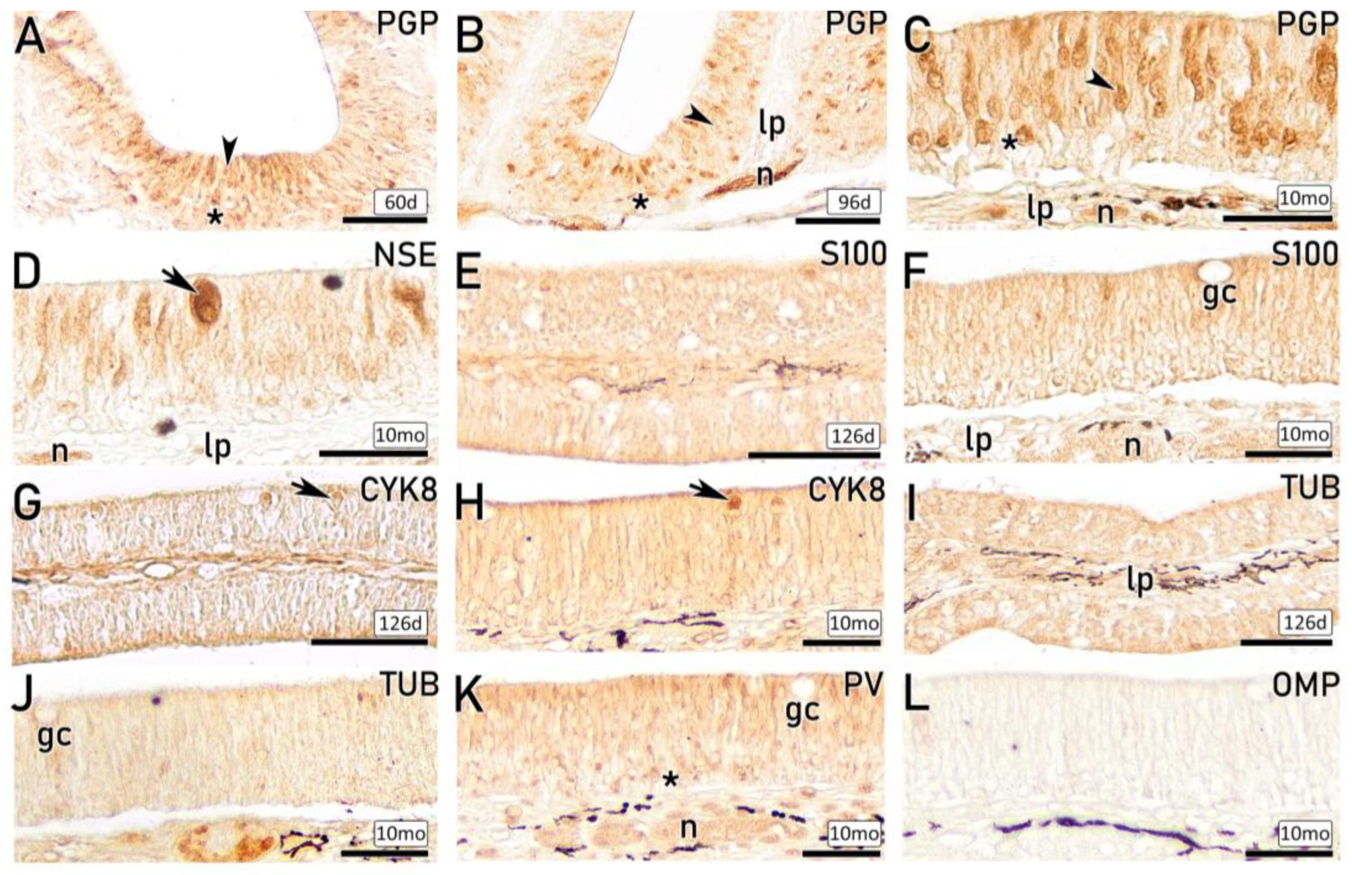 Preprints 203369 g013