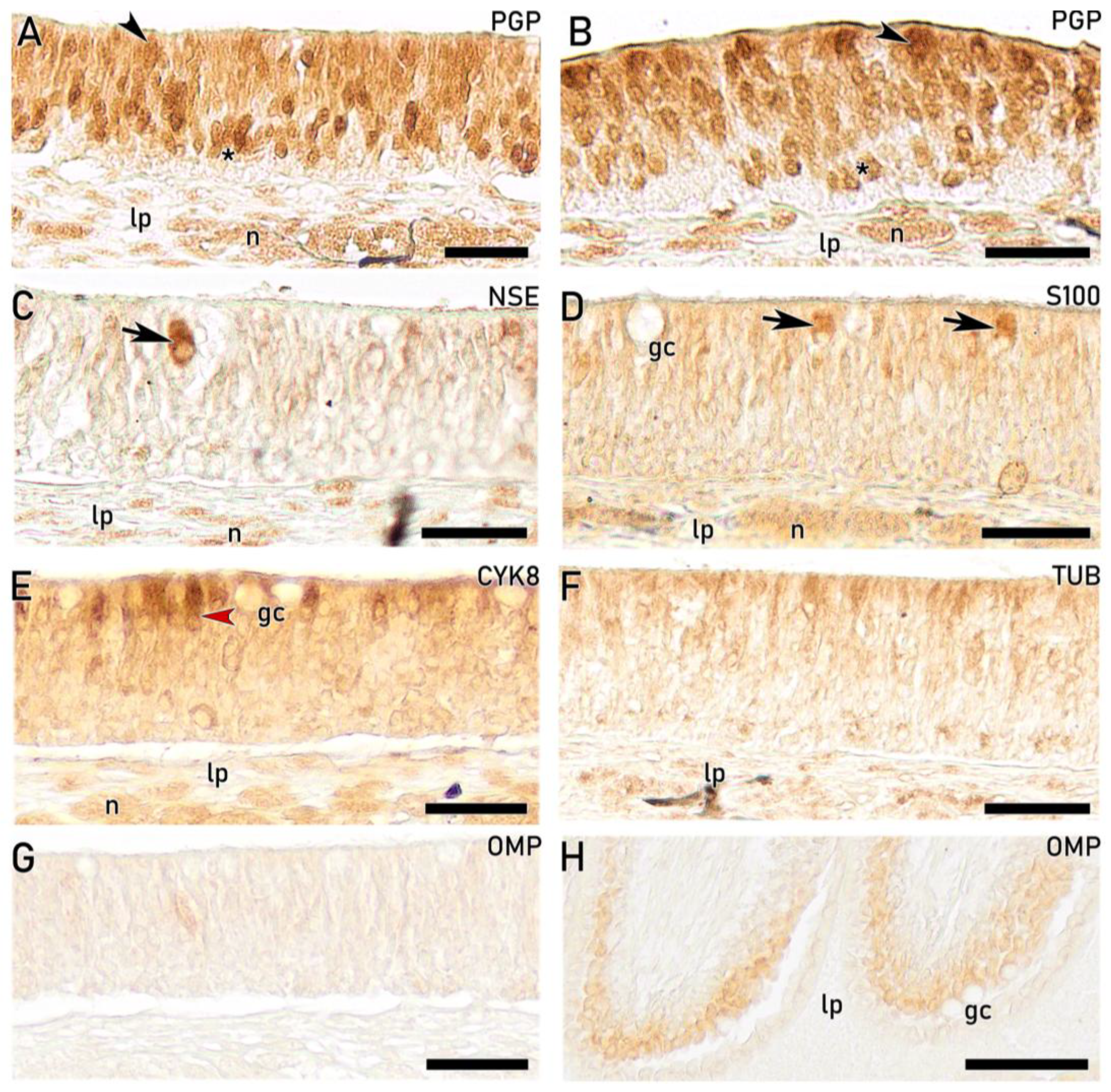 Preprints 203369 g014