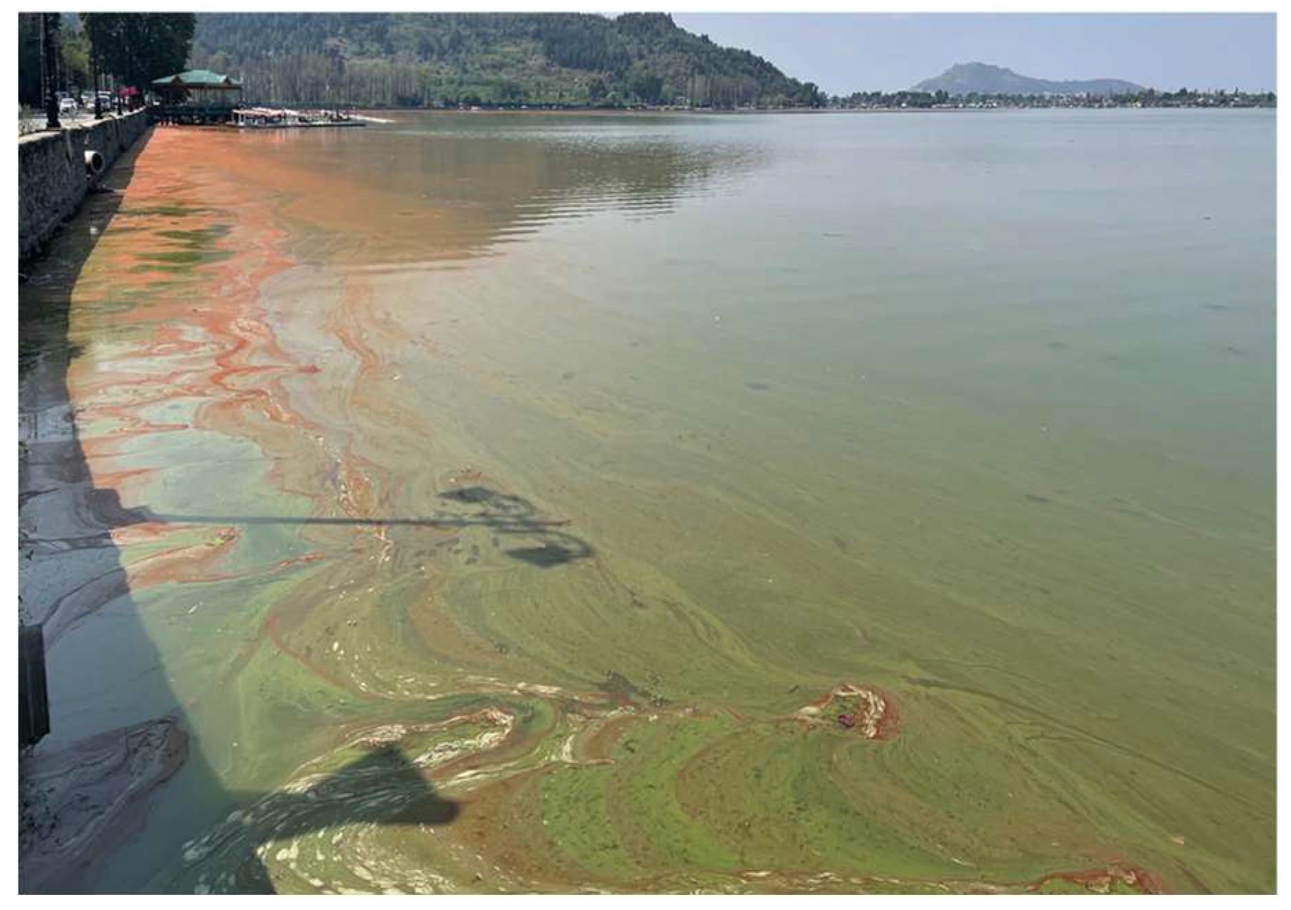 Preprints 121287 g001