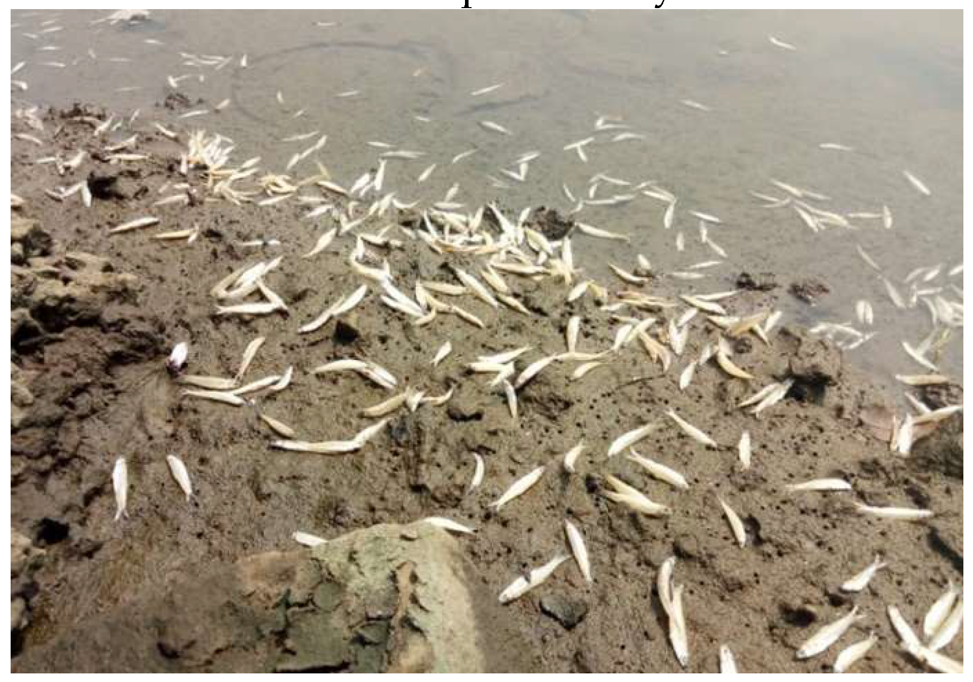 Preprints 121287 g002