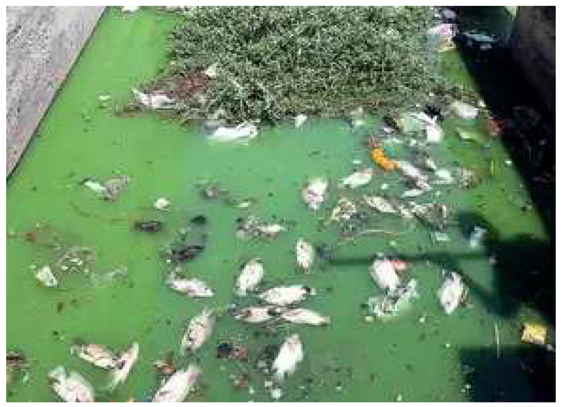 Preprints 121287 g003