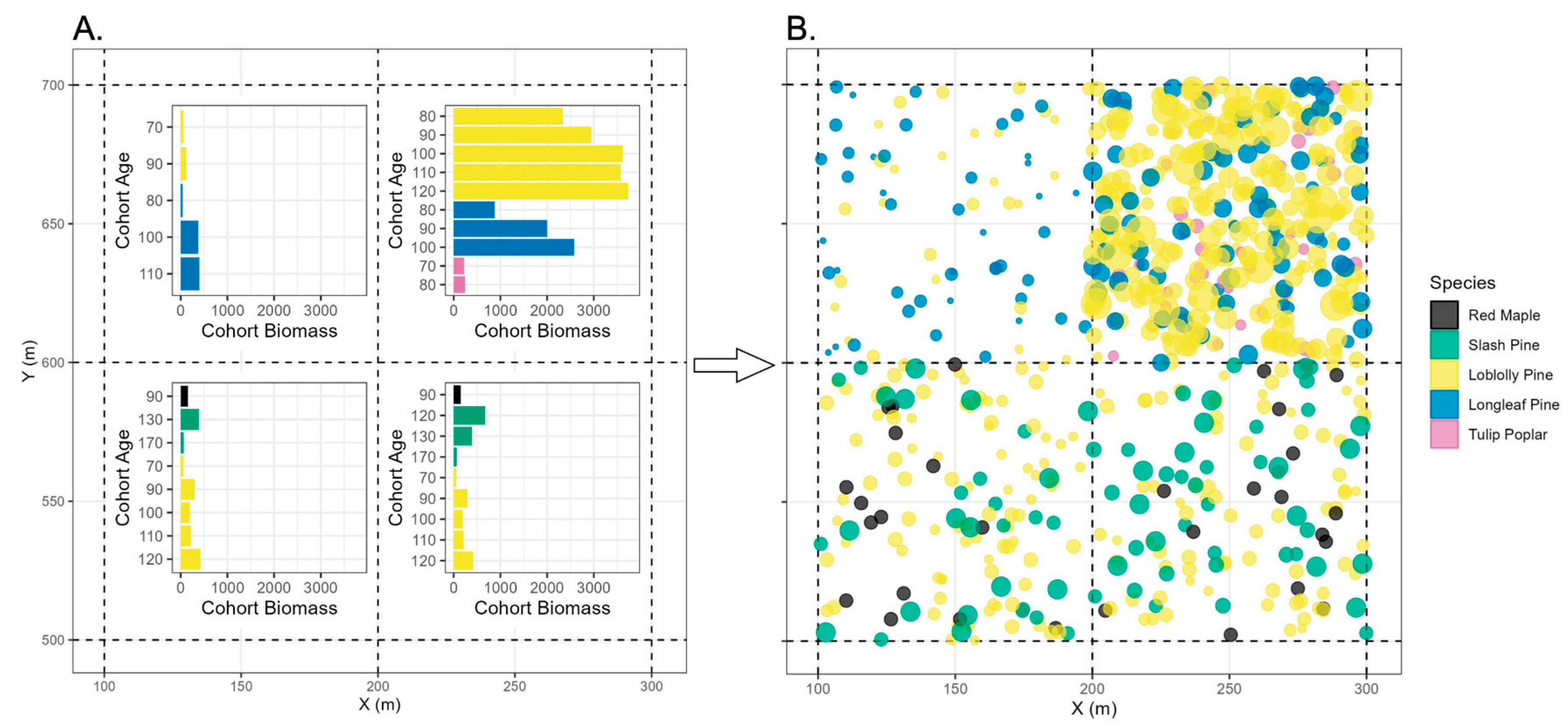 Preprints 150202 g002