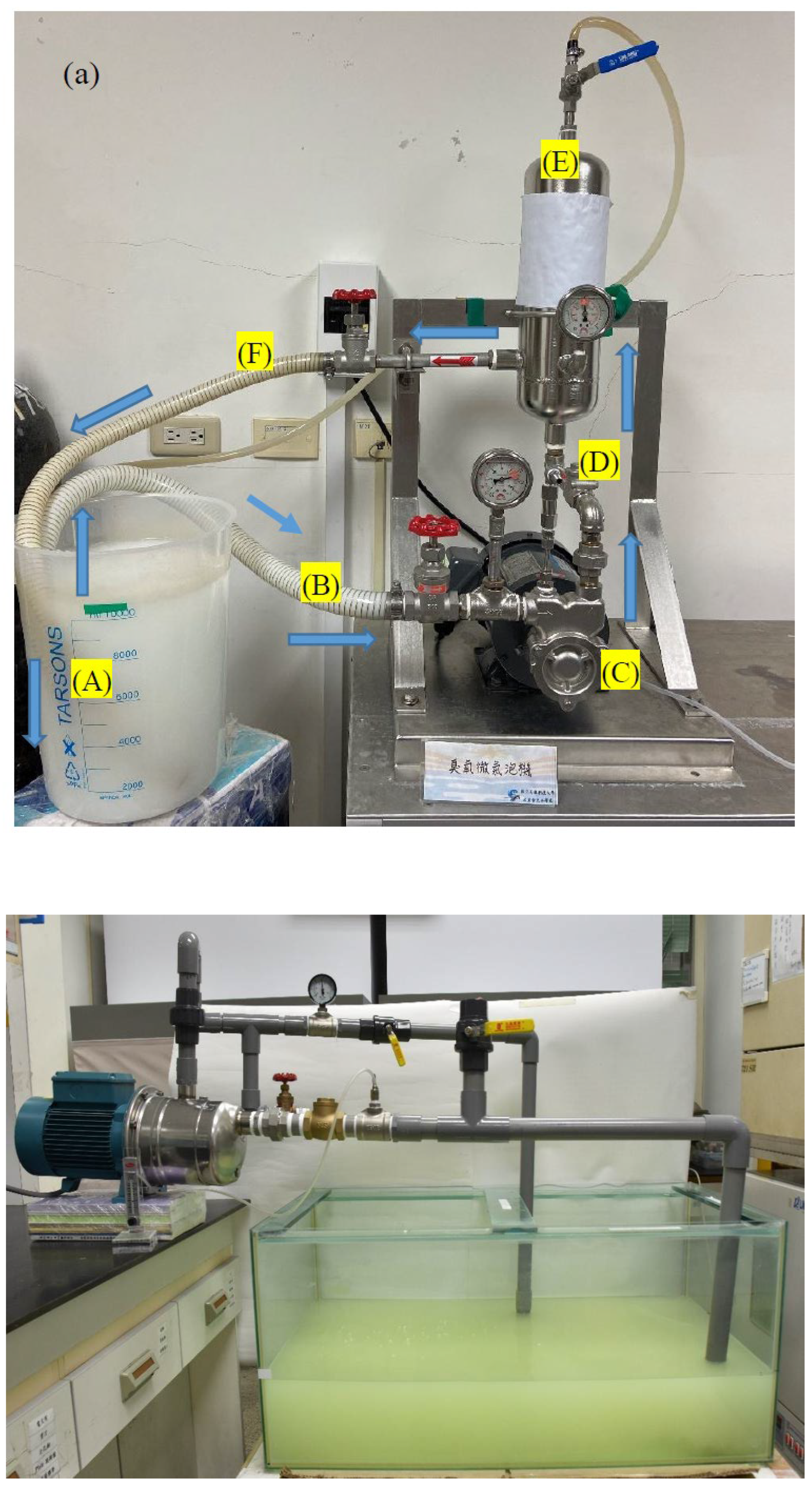 Preprints 172878 g001