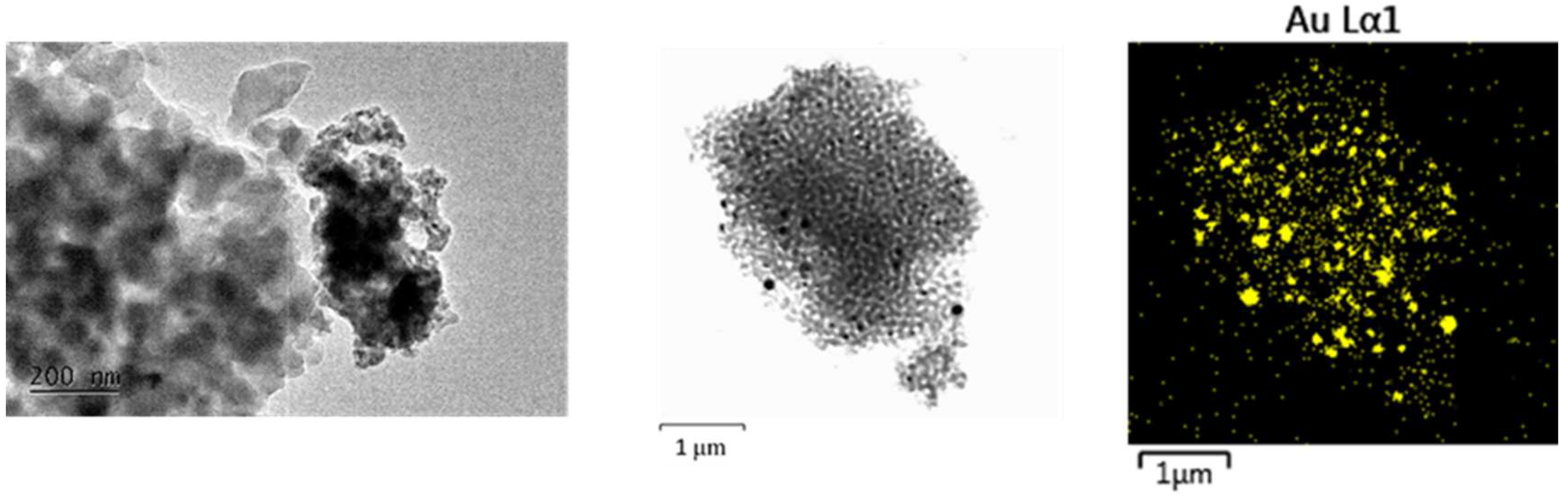 Preprints 161631 g005