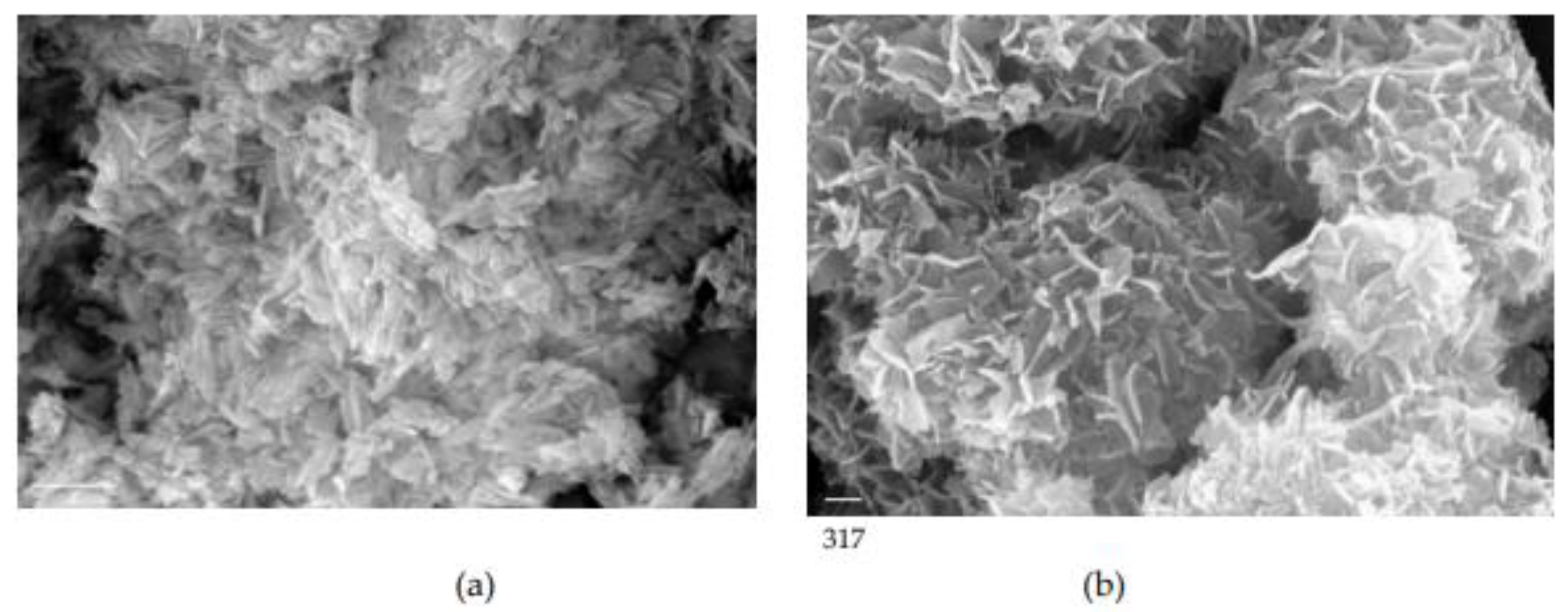 Preprints 171945 g002