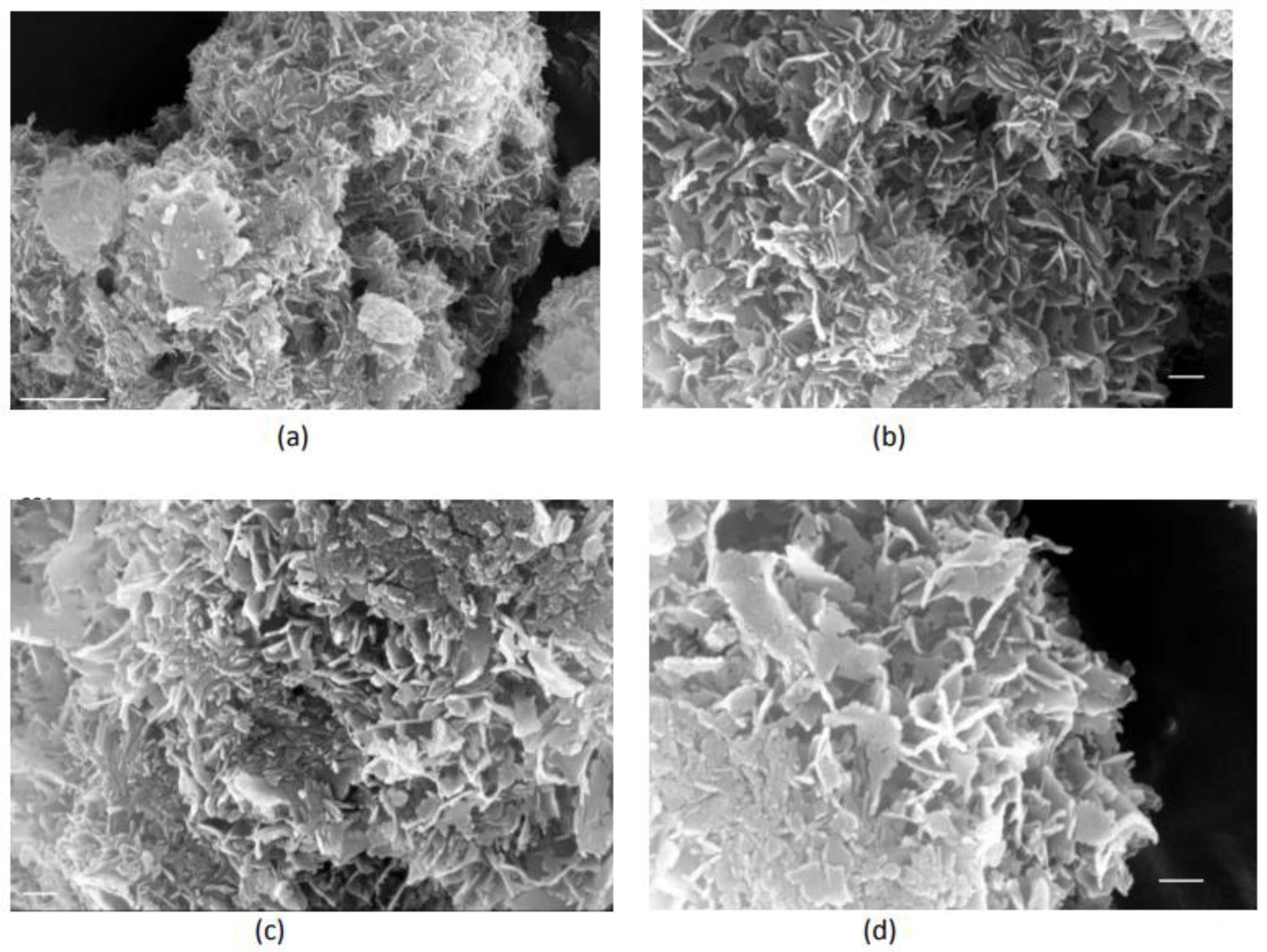 Preprints 171945 g003