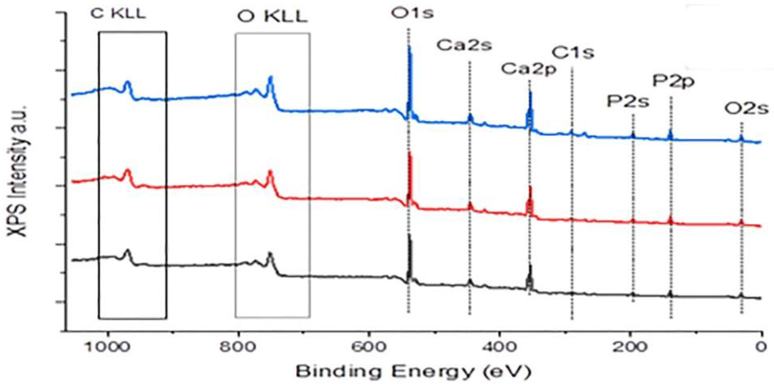 Preprints 171945 g006