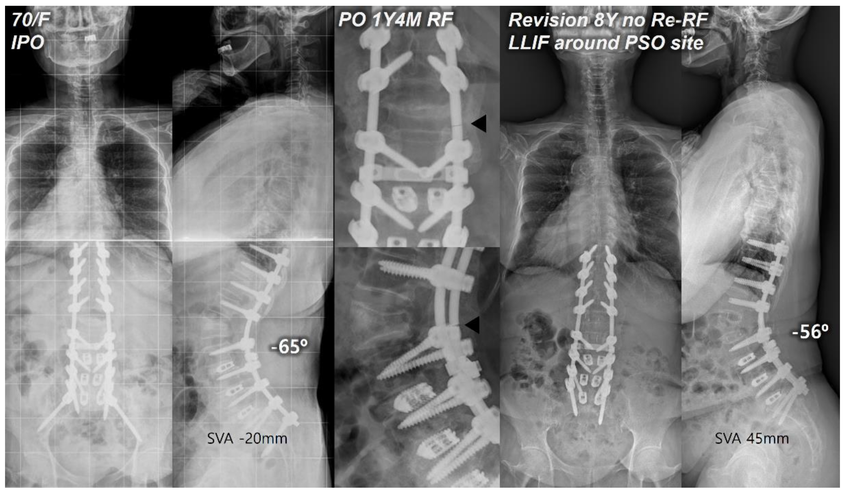 Preprints 118132 g003