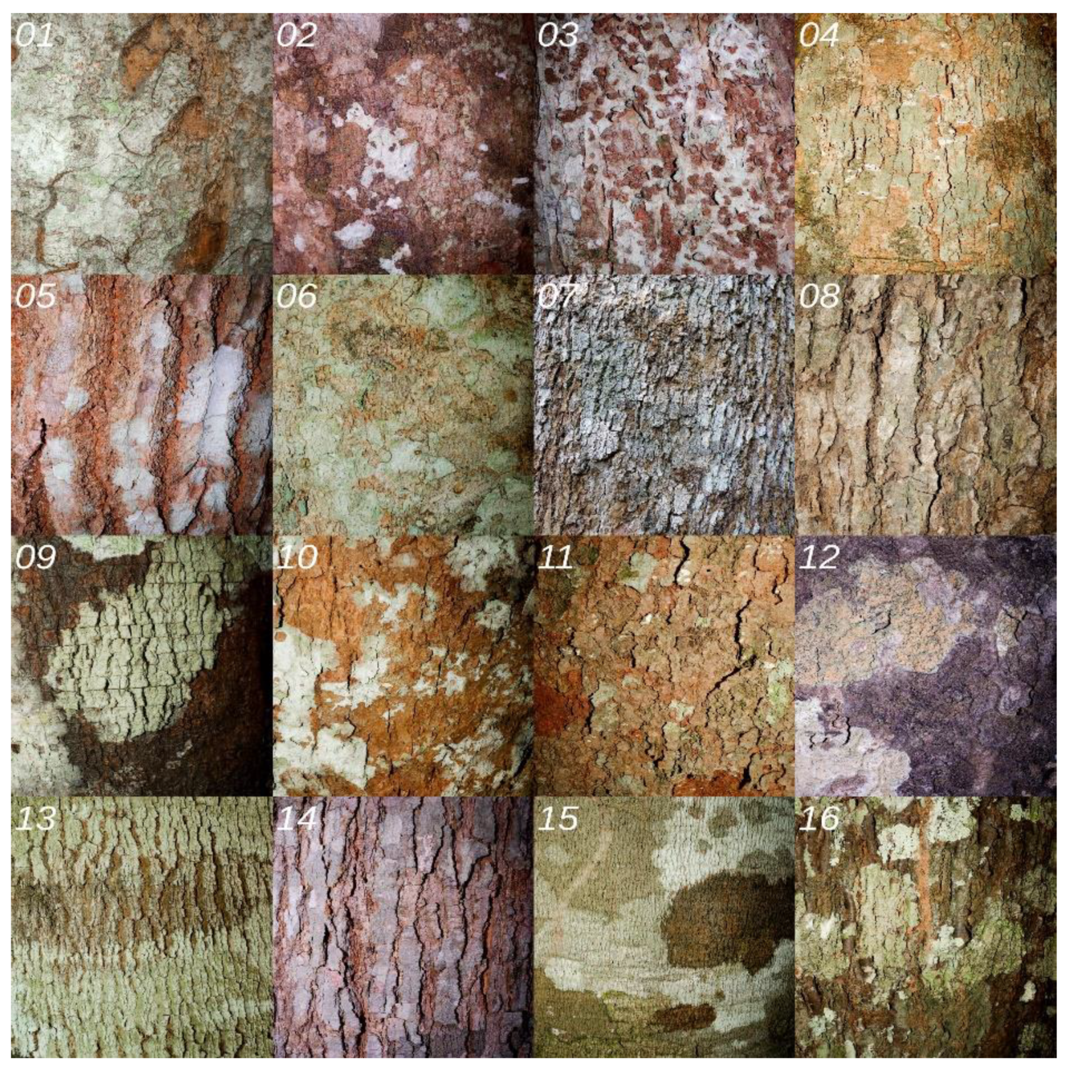 Preprints 163982 g002