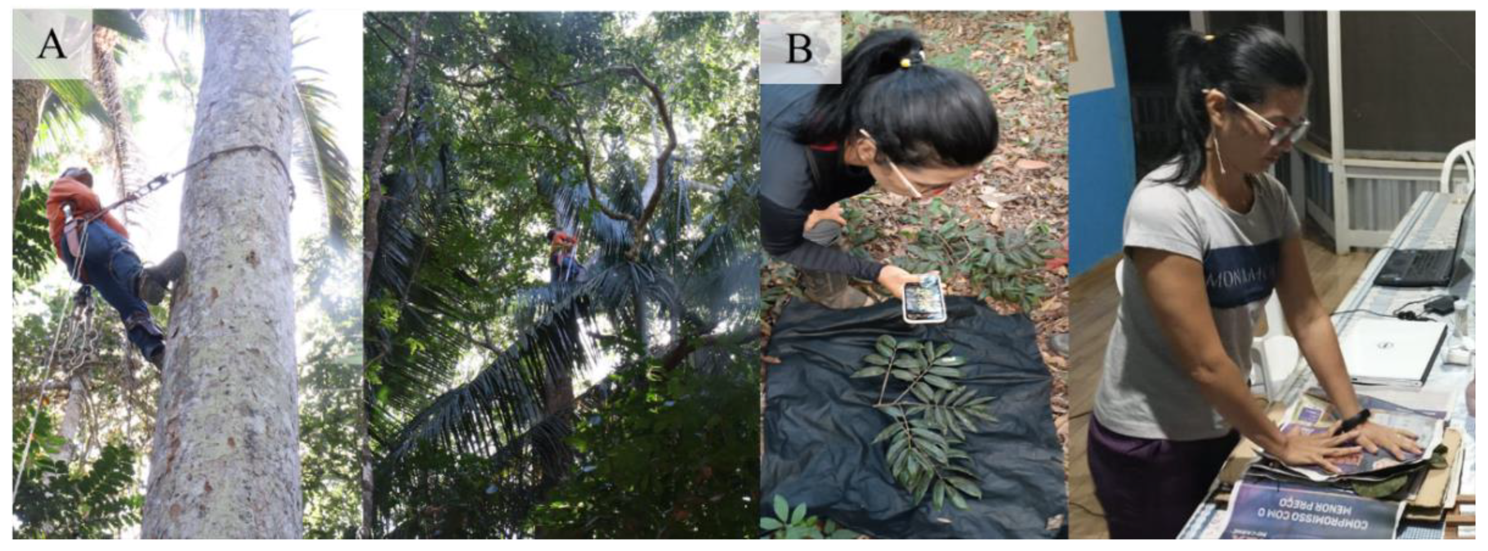 Preprints 163982 g0a3