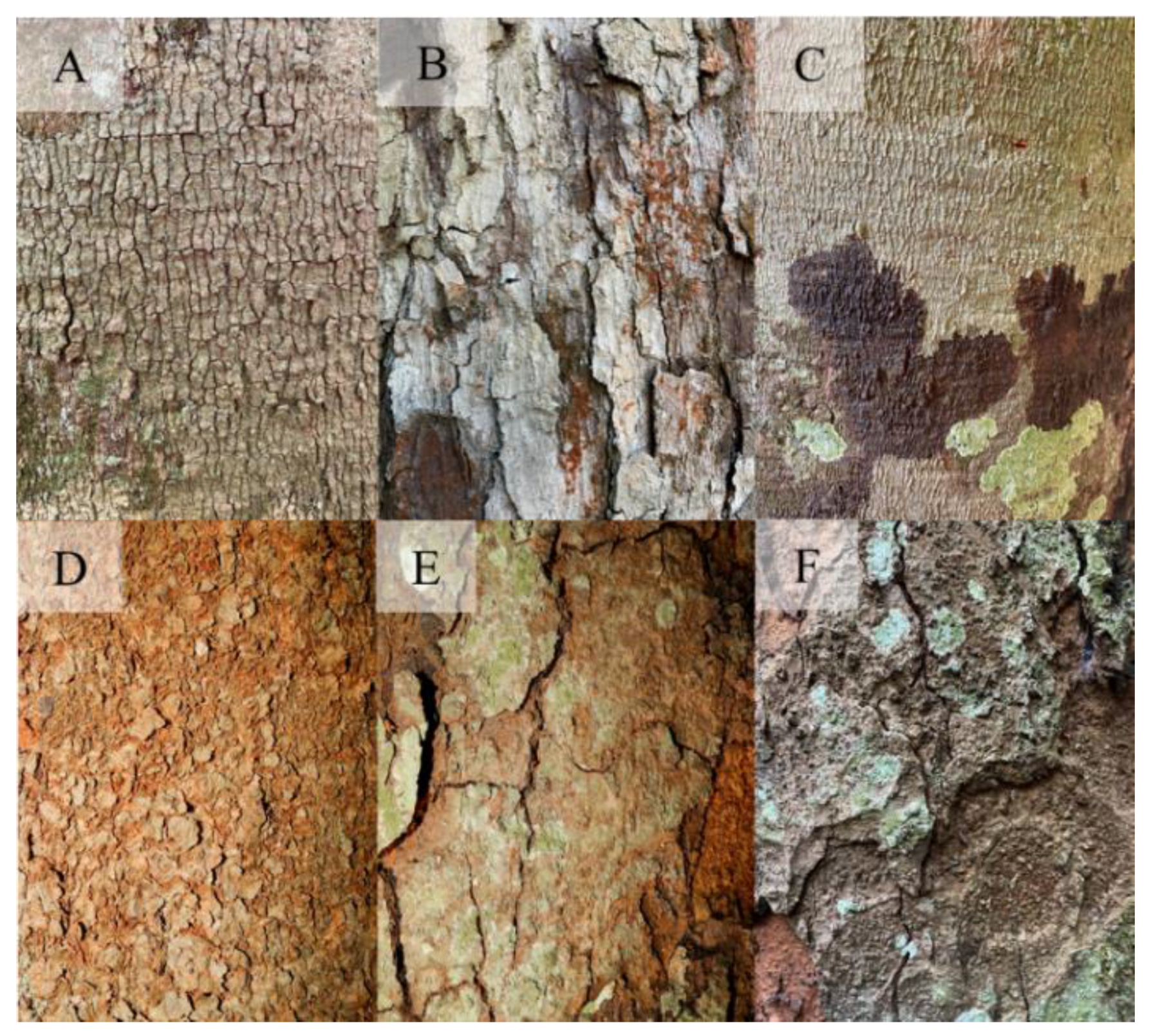 Preprints 163982 g0a4