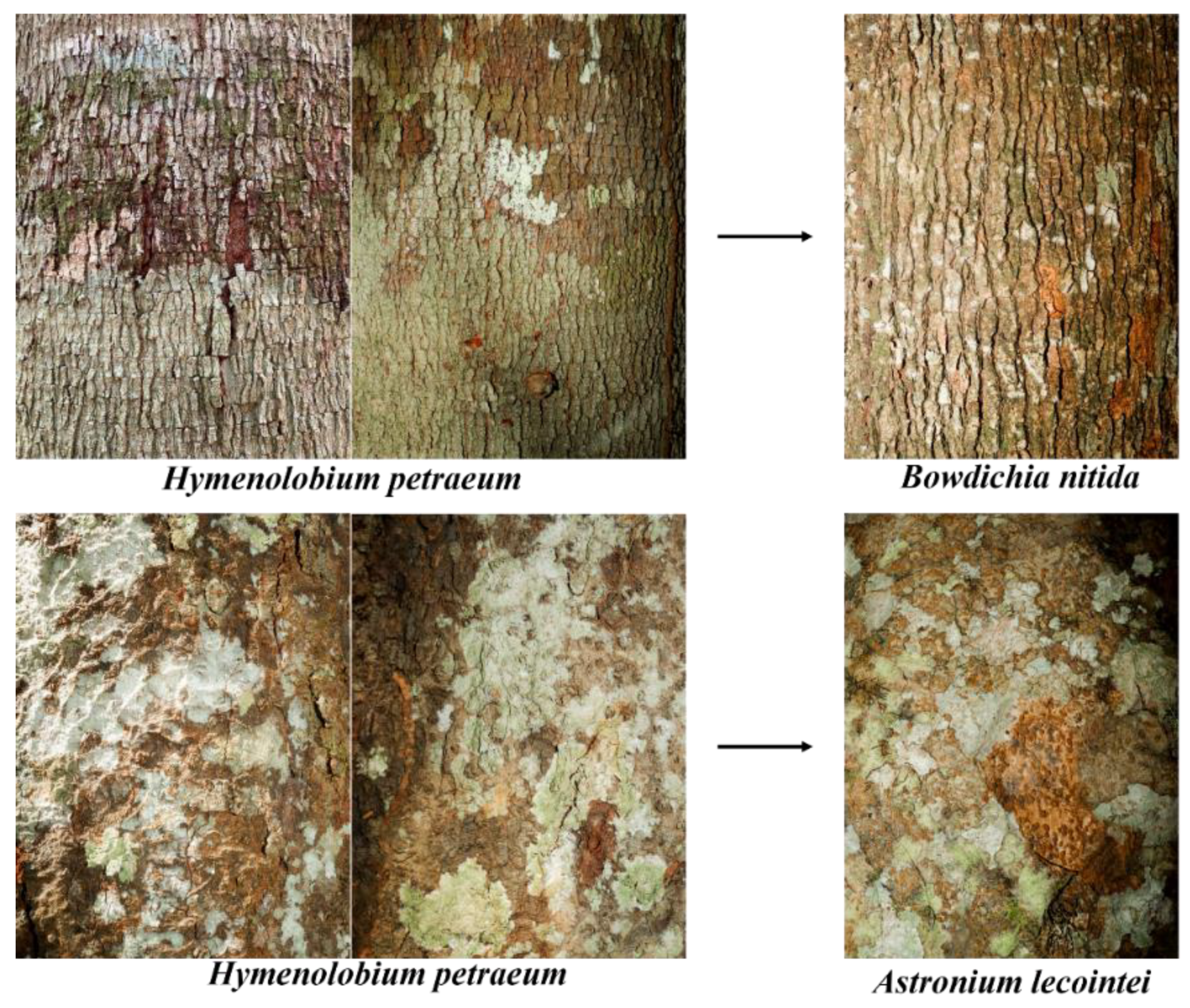 Preprints 163982 g0a5