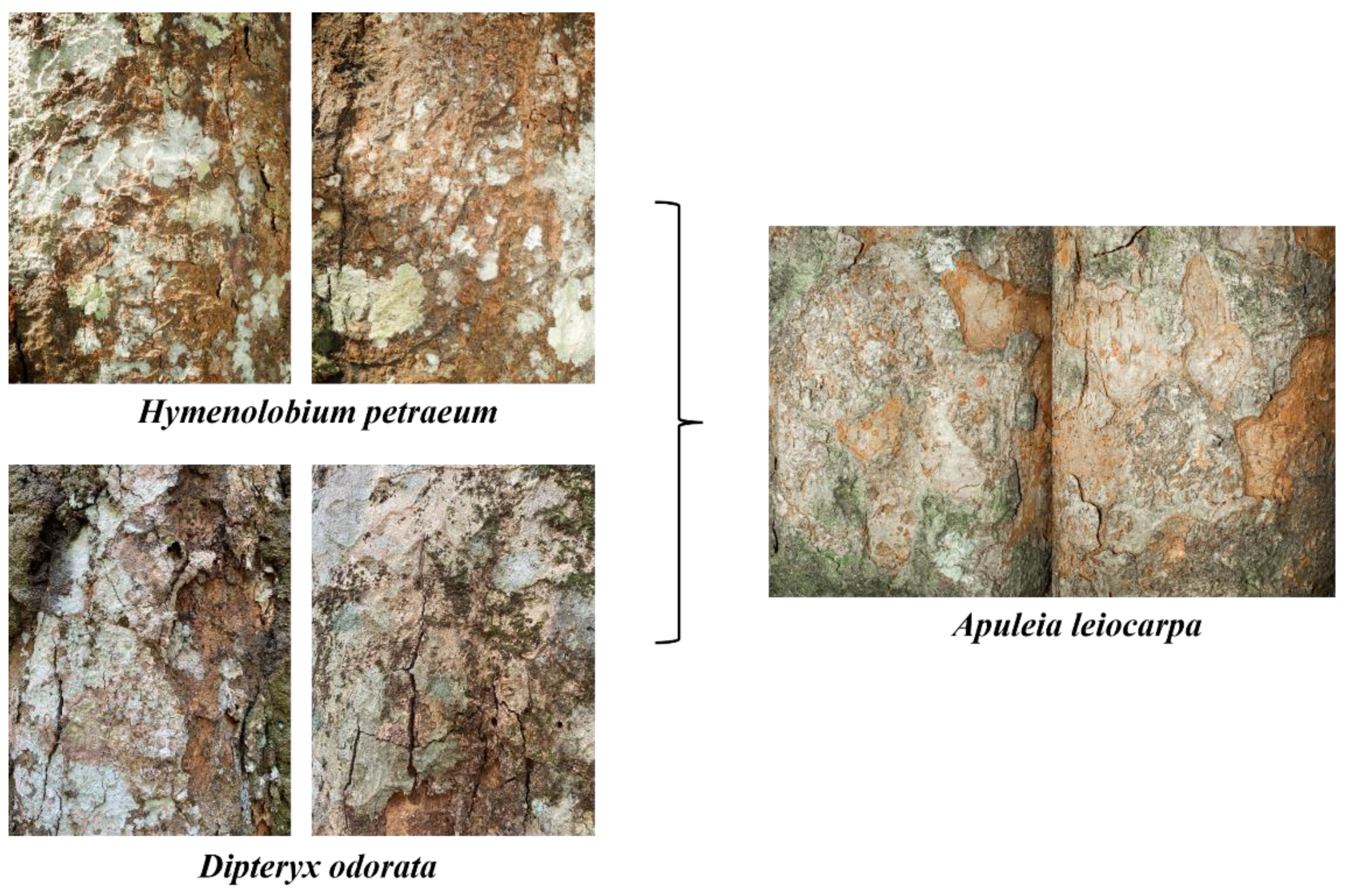 Preprints 163982 g0a6