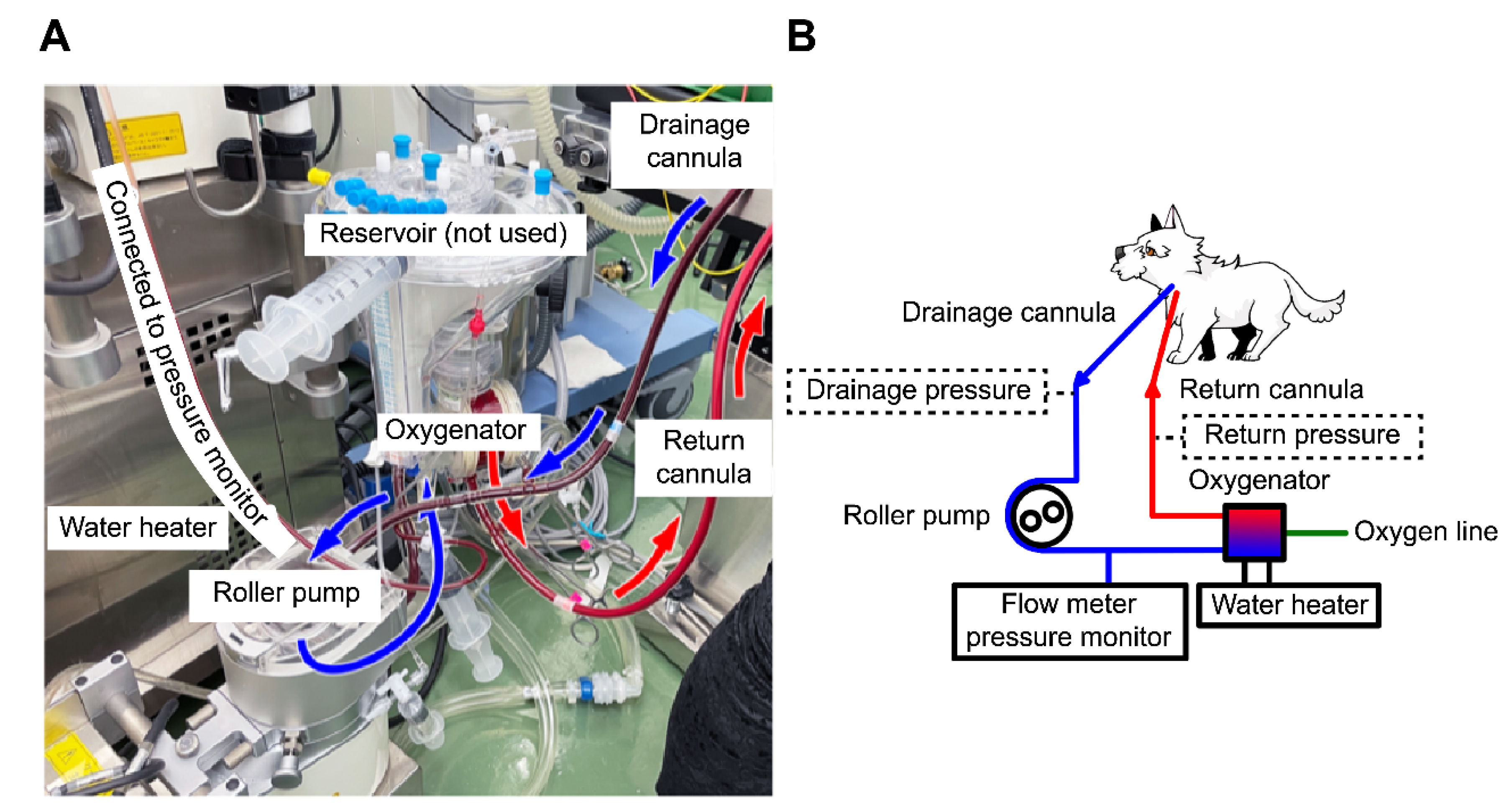 Preprints 180057 g001