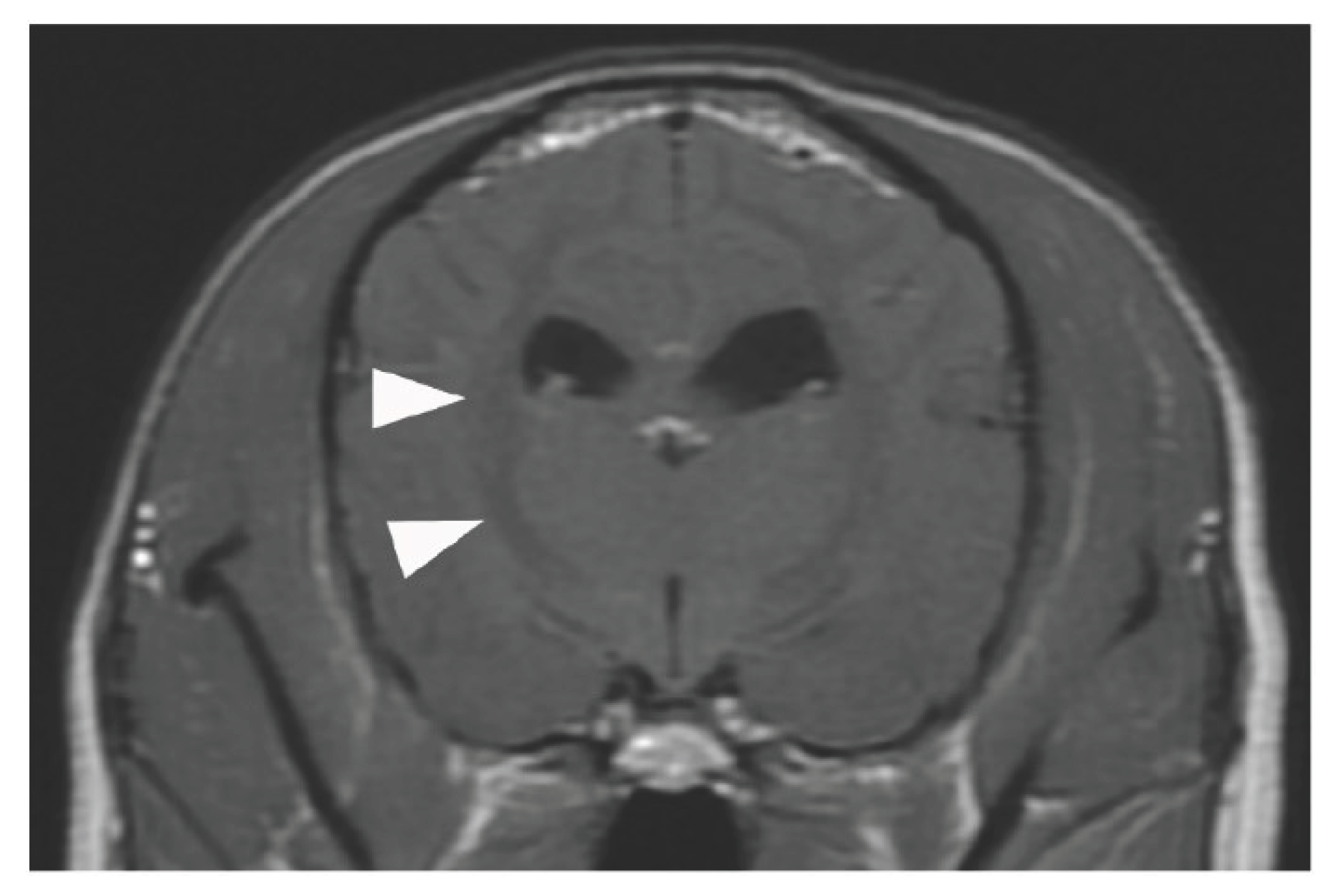 Preprints 180057 g003