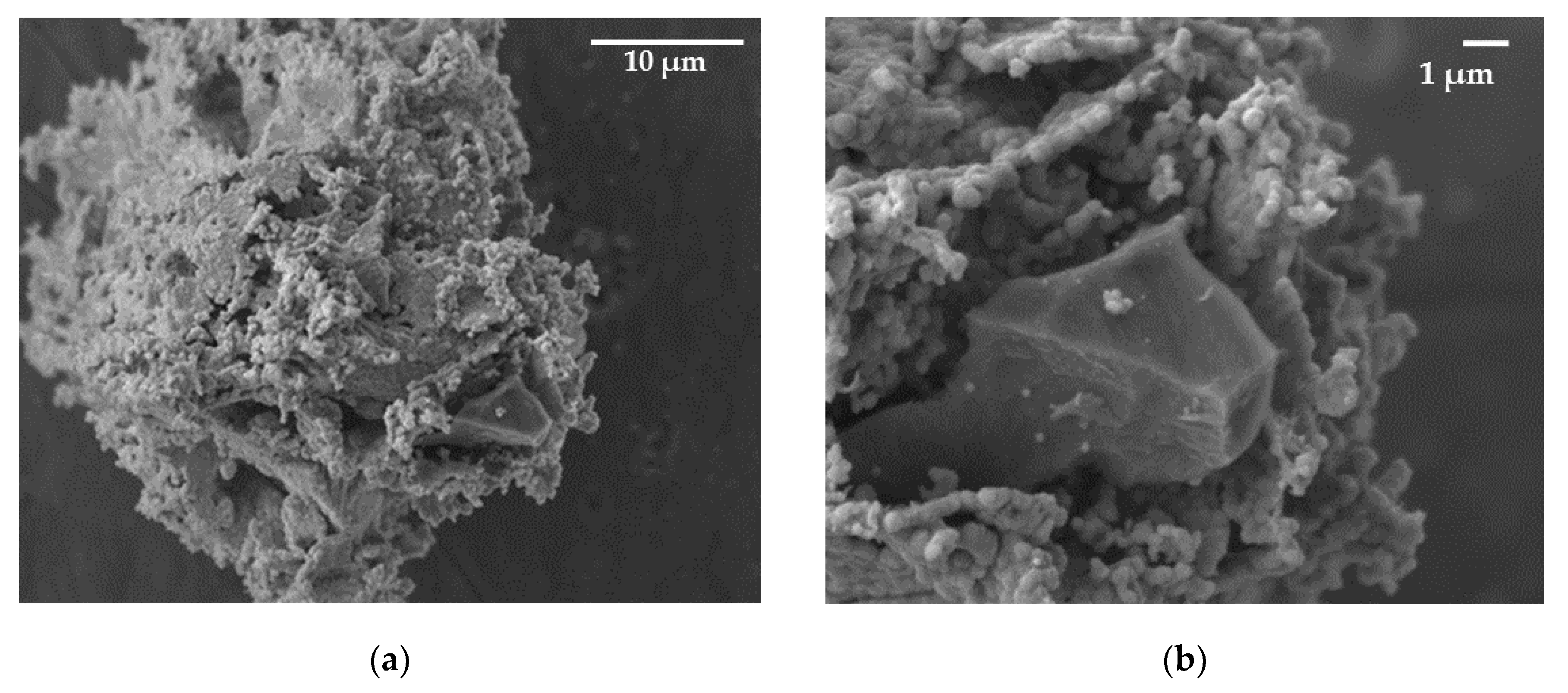 Preprints 74876 g006a