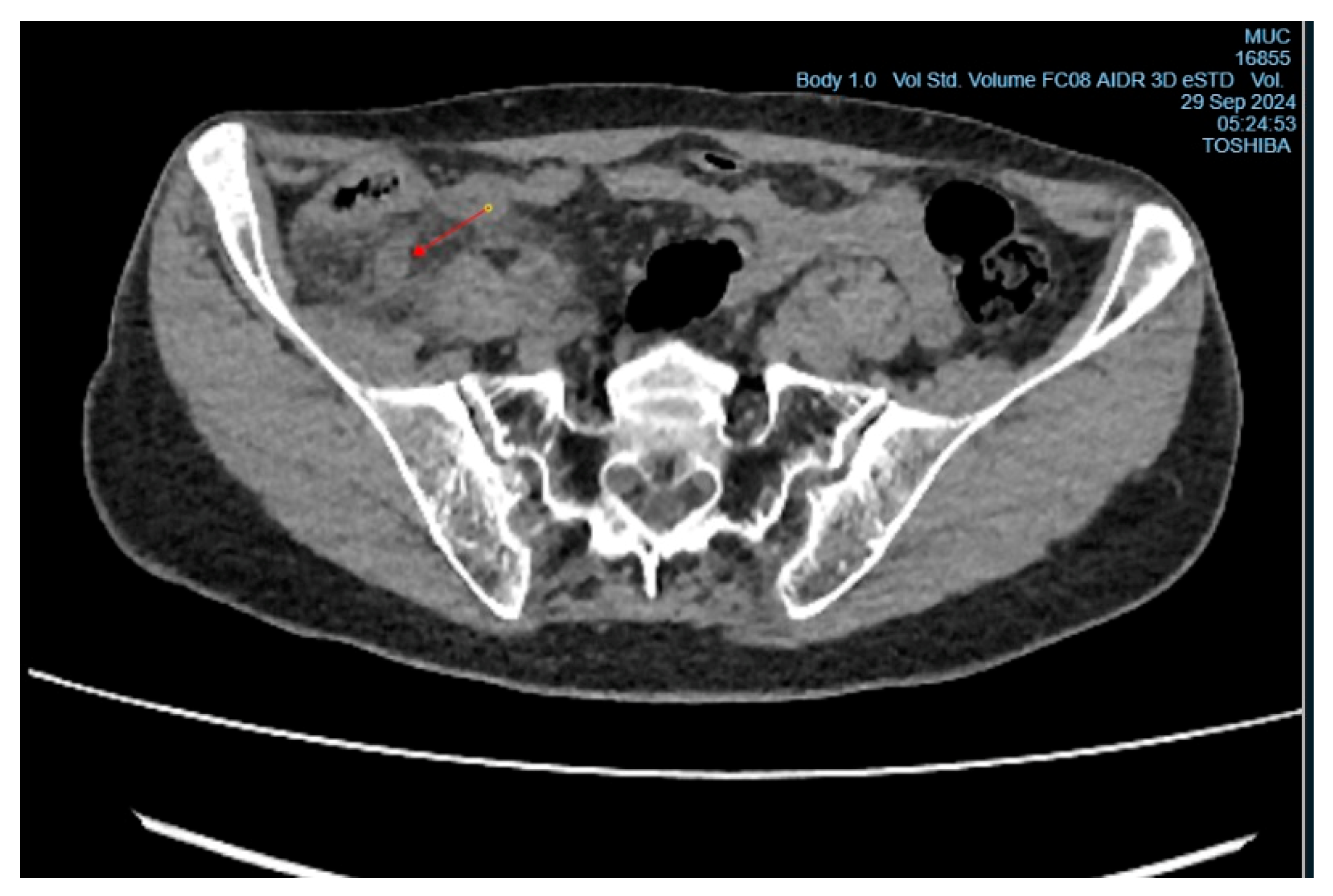 Preprints 156792 g002